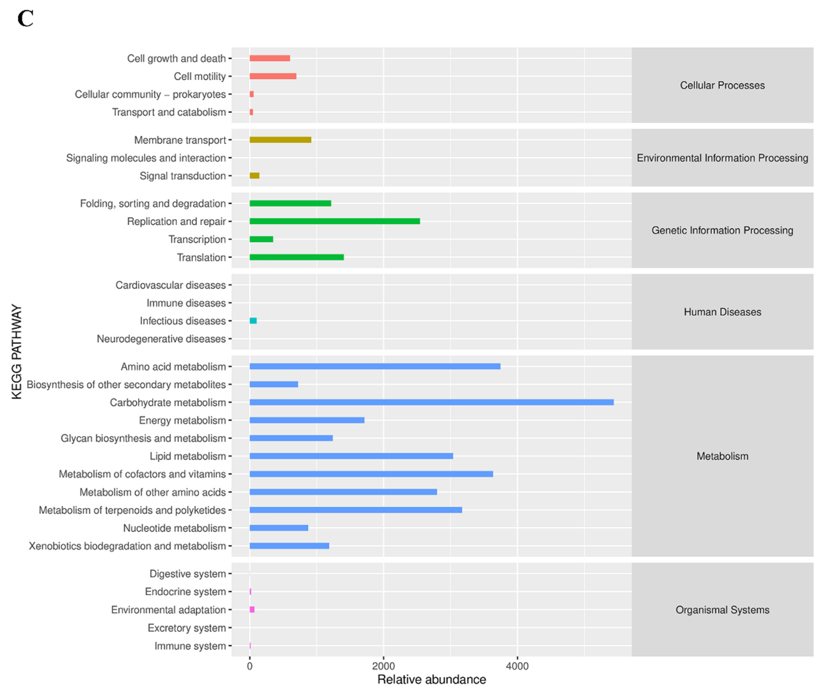 Ijms 23 03723 g004b Ijms 23 03723 g004b