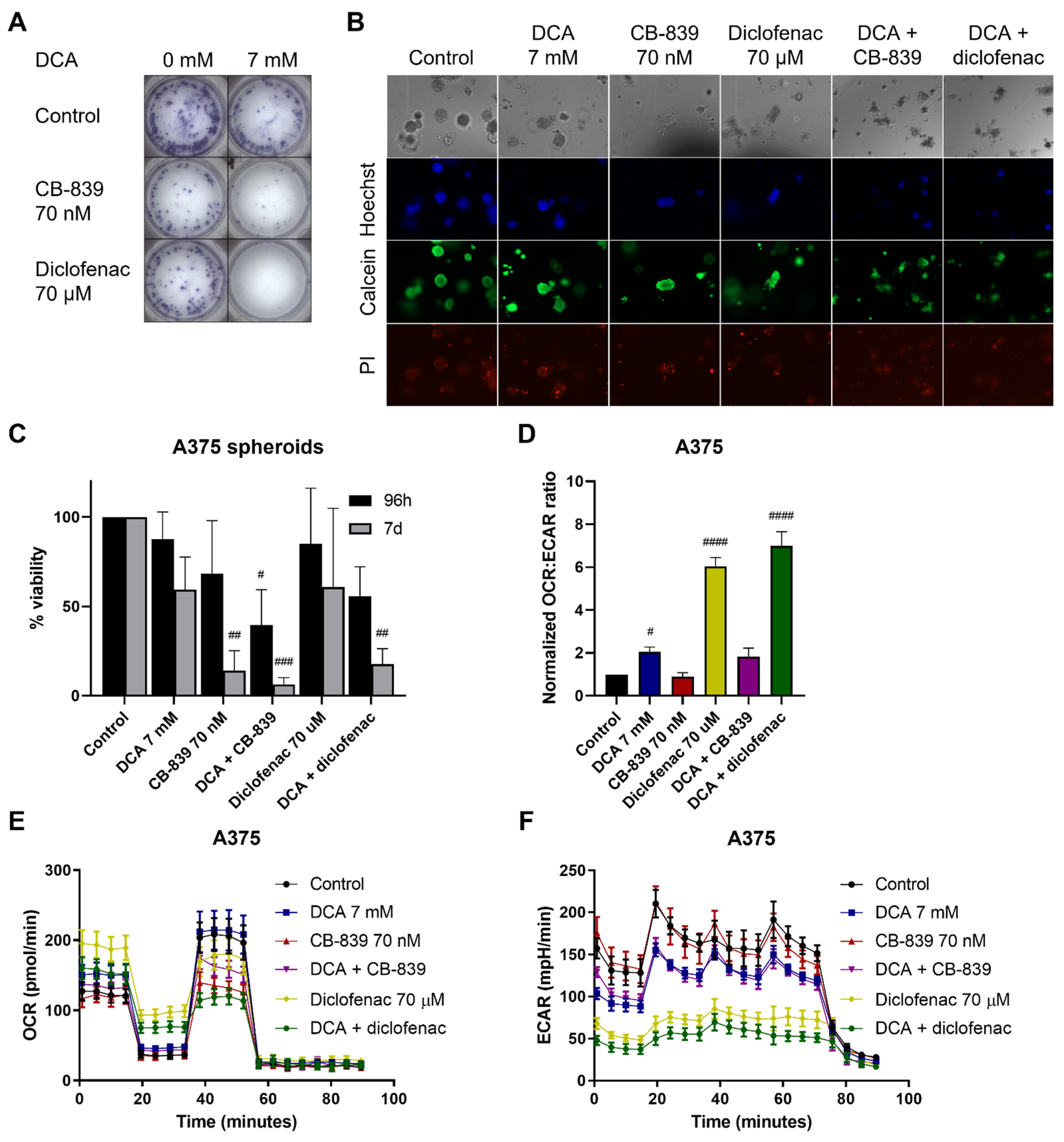 Ijms 23 03745 g006 Ijms 23 03745 g006