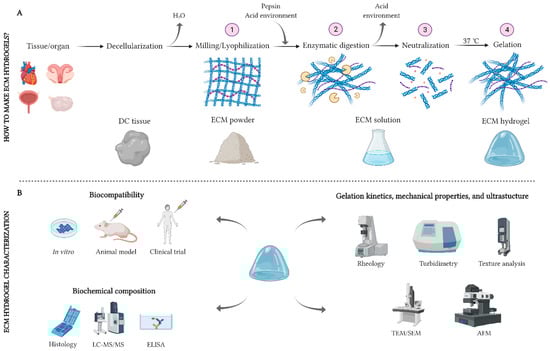 Ijms 23 03765 g001 550