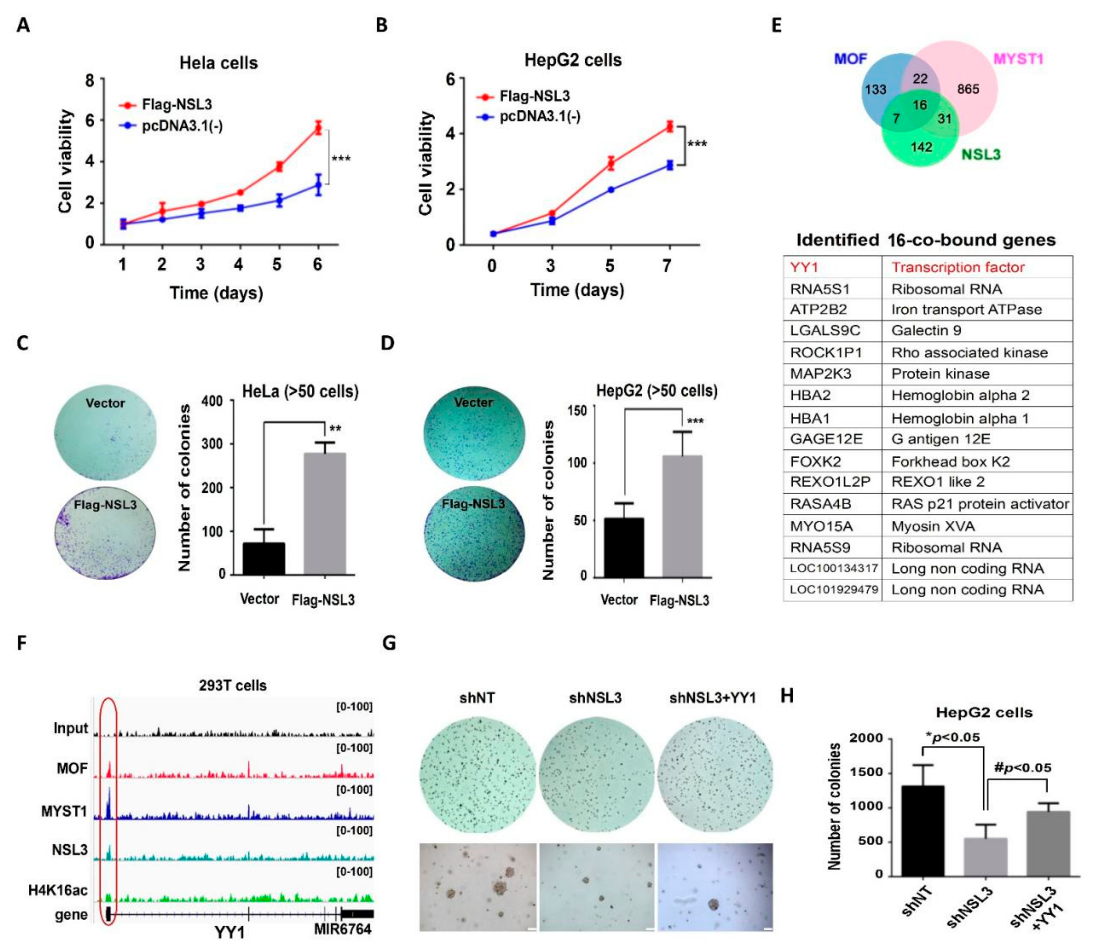 Ijms 23 03801 g002 Ijms 23 03801 g002