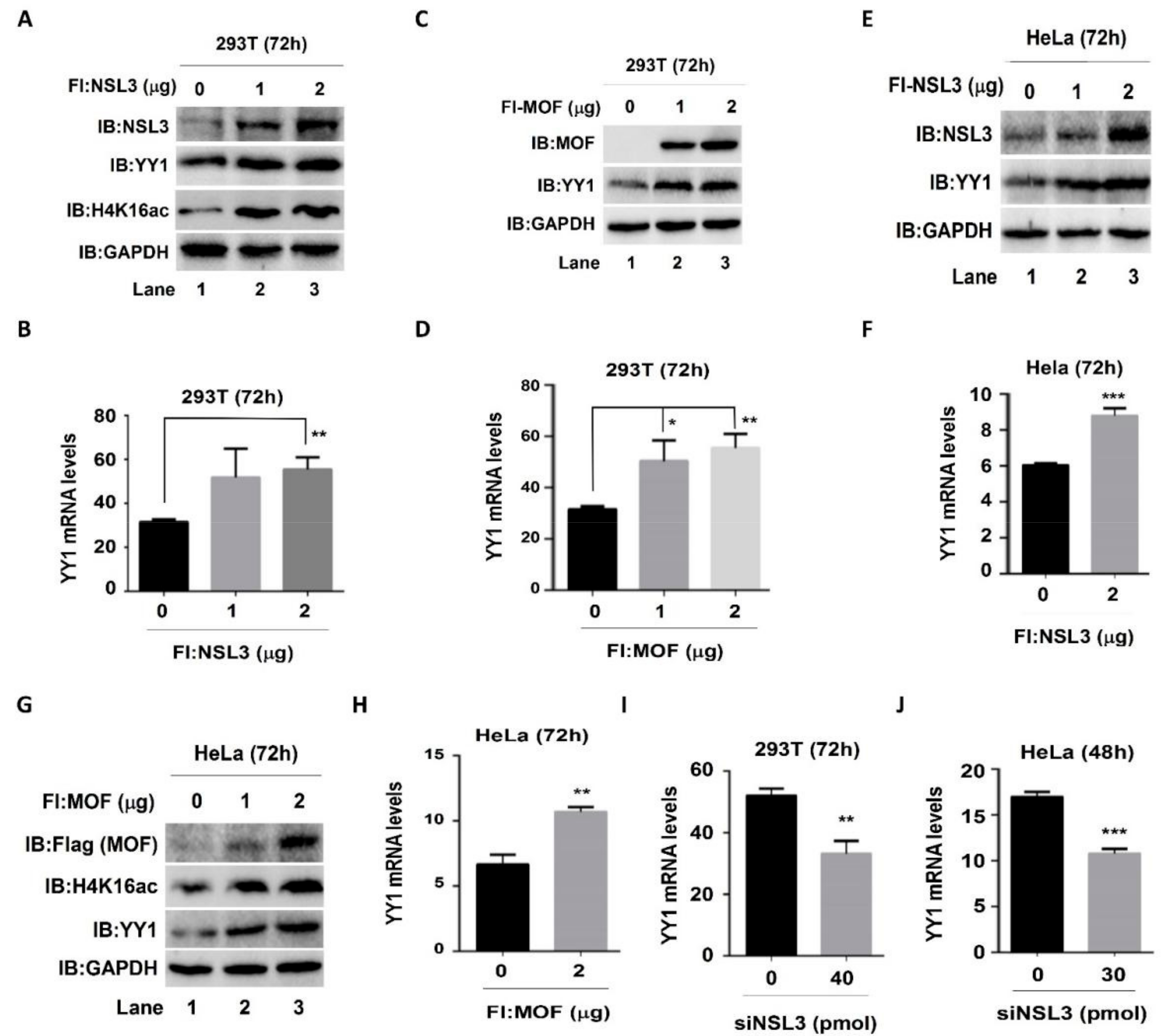 Ijms 23 03801 g003 Ijms 23 03801 g003