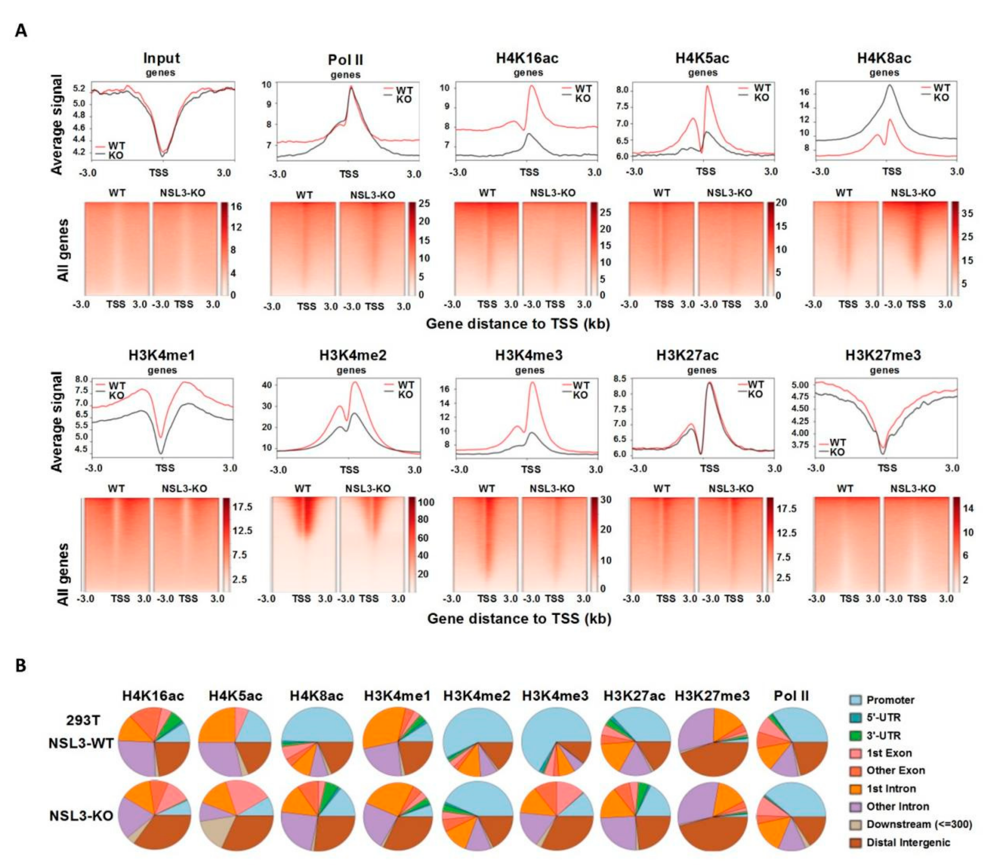 Ijms 23 03801 g006 Ijms 23 03801 g006