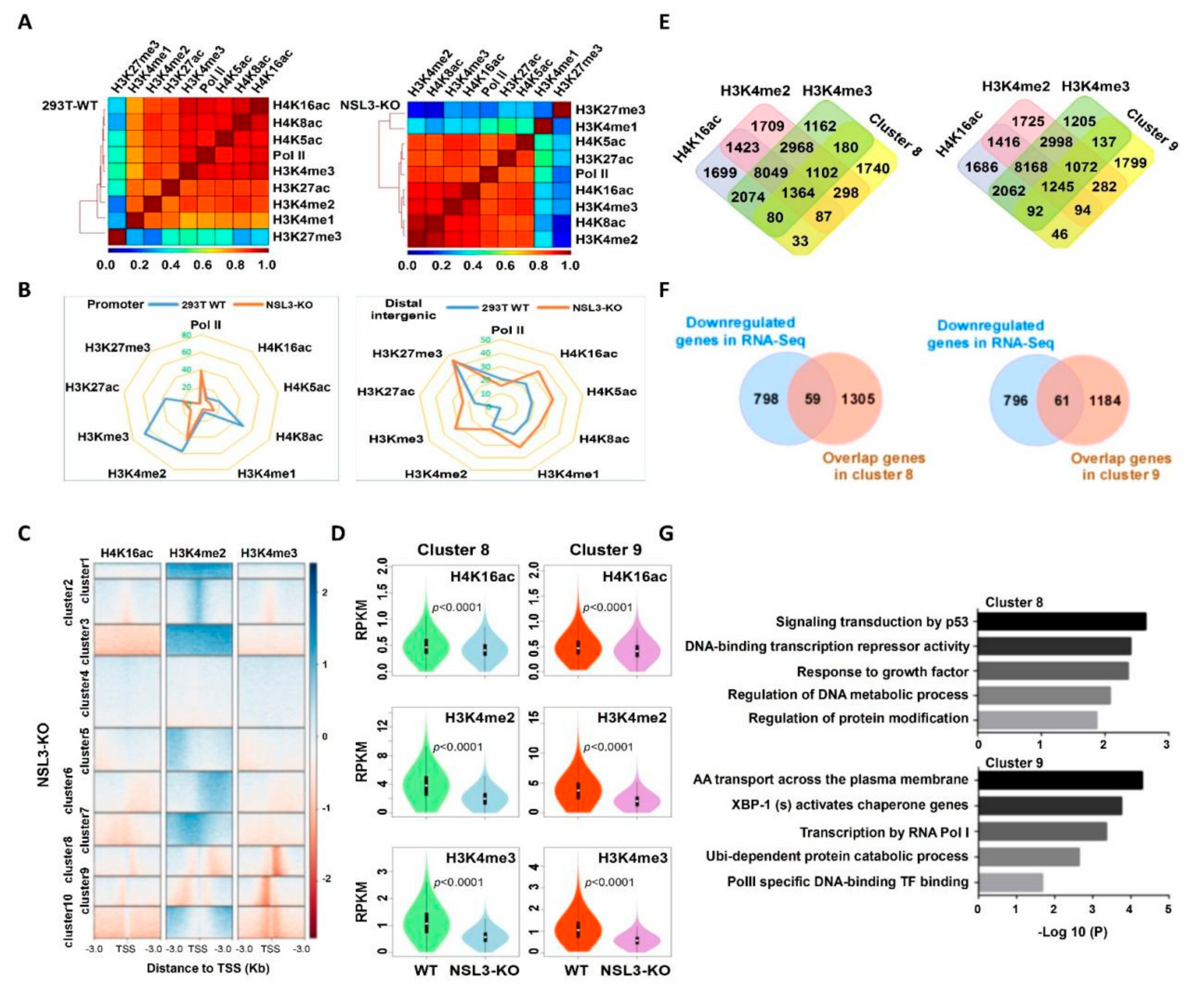 Ijms 23 03801 g007 Ijms 23 03801 g007