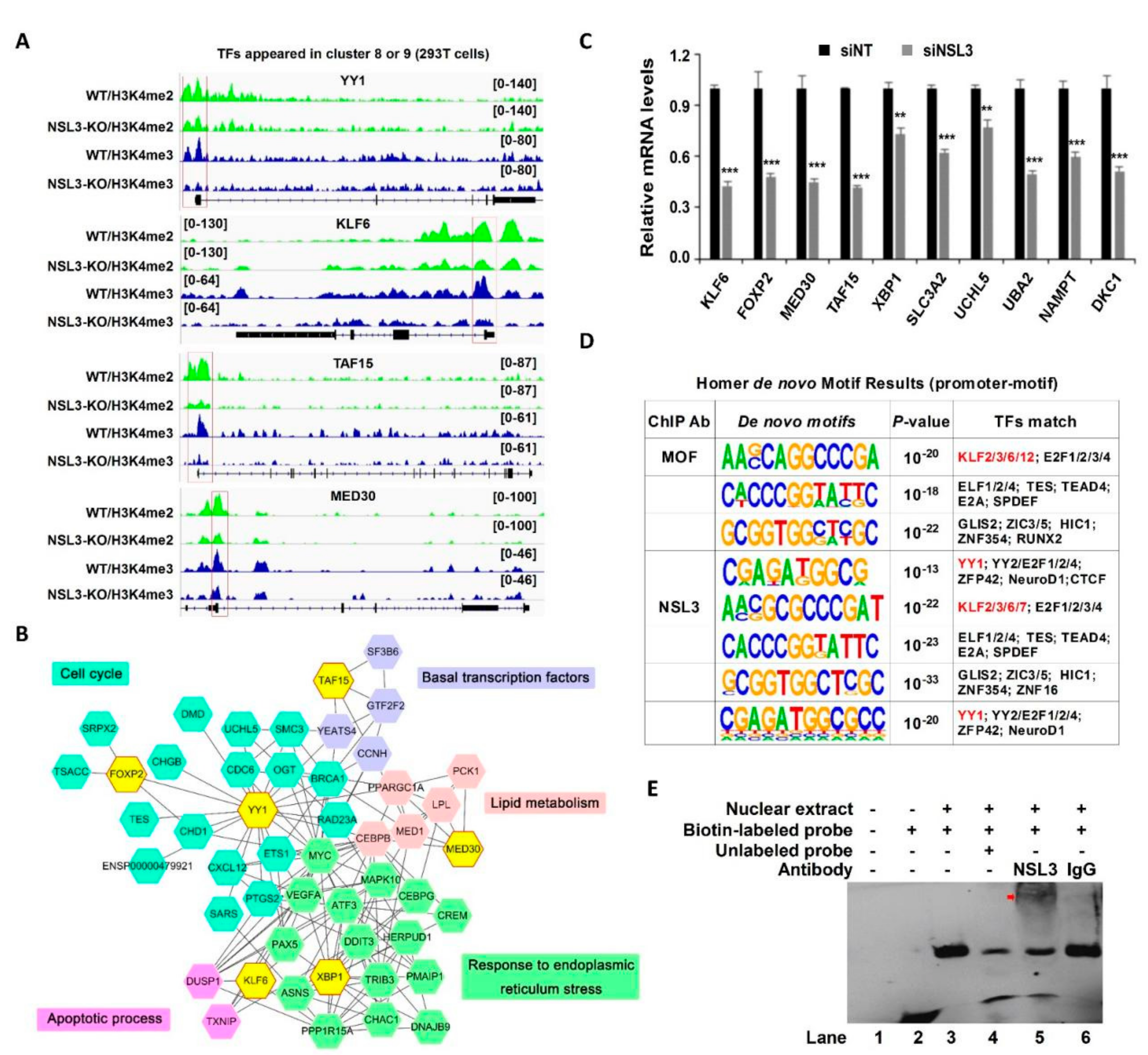 Ijms 23 03801 g008 Ijms 23 03801 g008