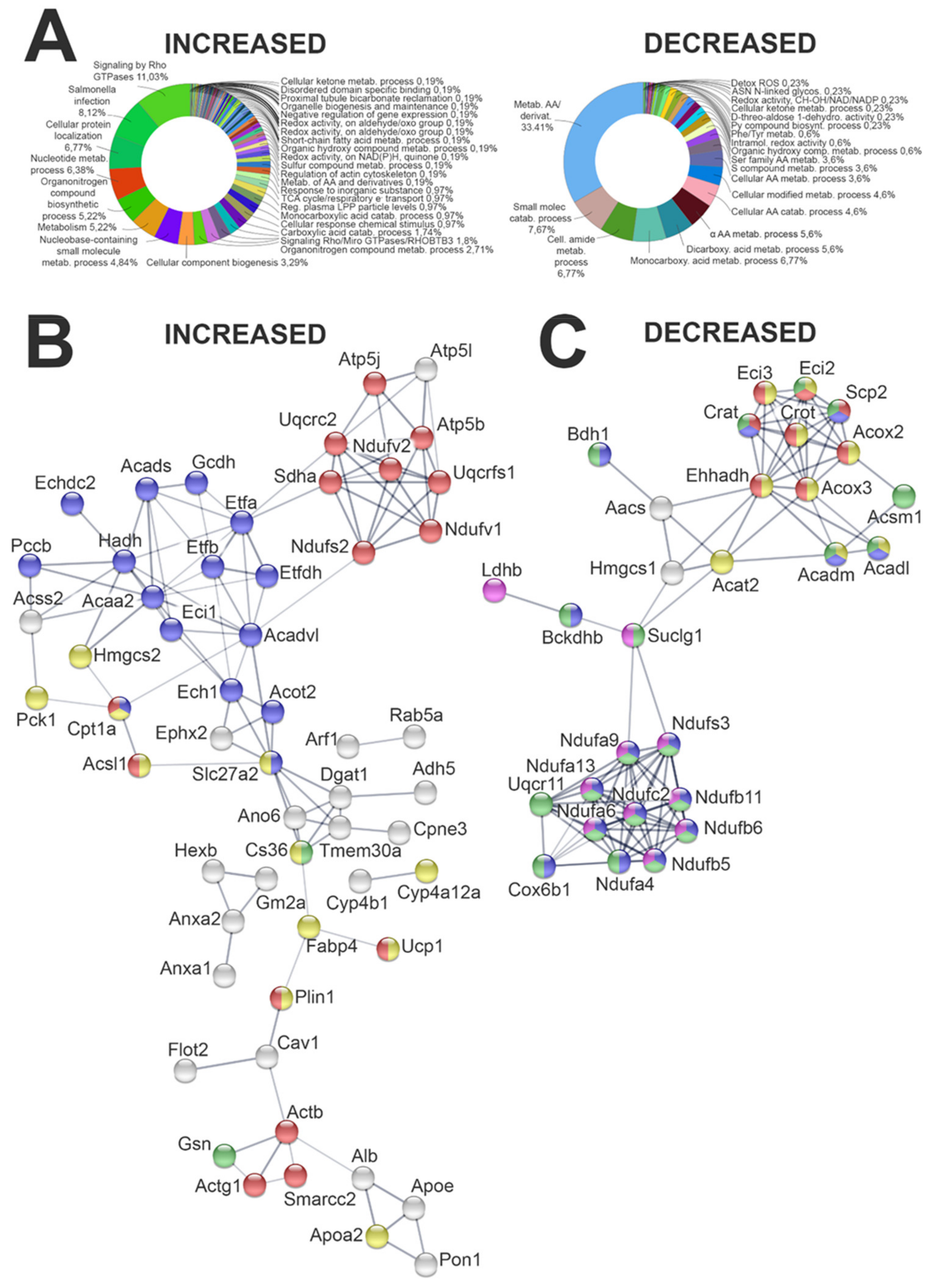 Ijms 23 03809 g004 Ijms 23 03809 g004