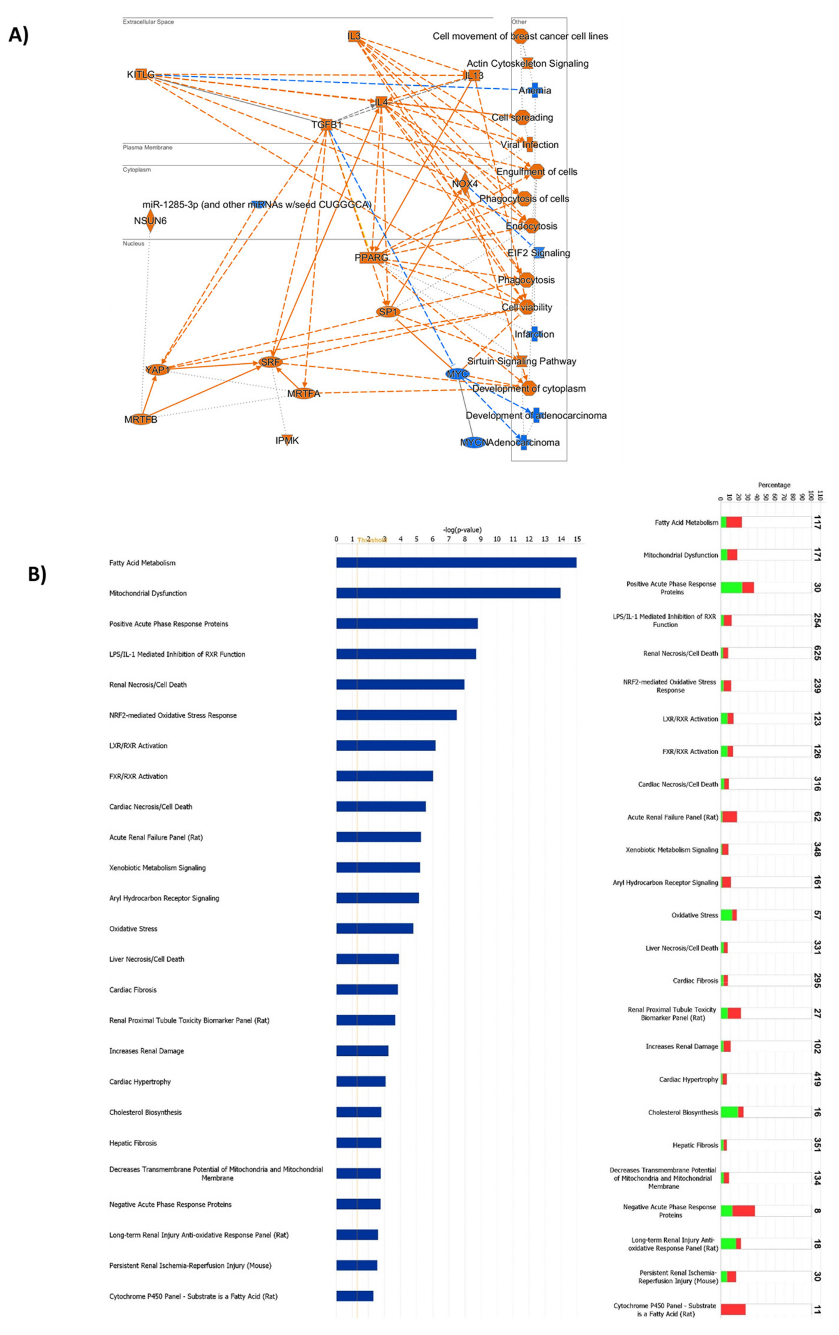 Ijms 23 03809 g005 Ijms 23 03809 g005