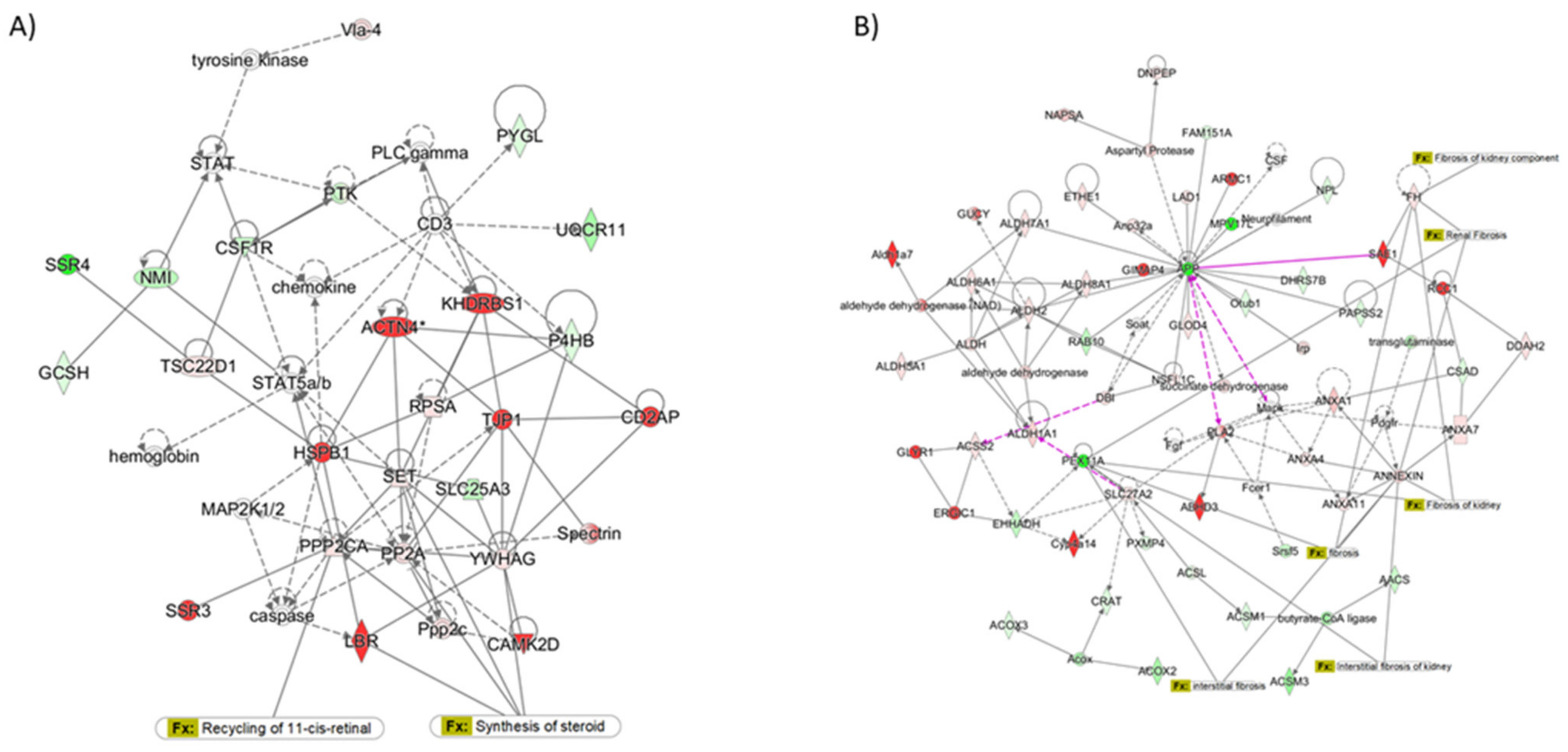 Ijms 23 03809 g006 Ijms 23 03809 g006