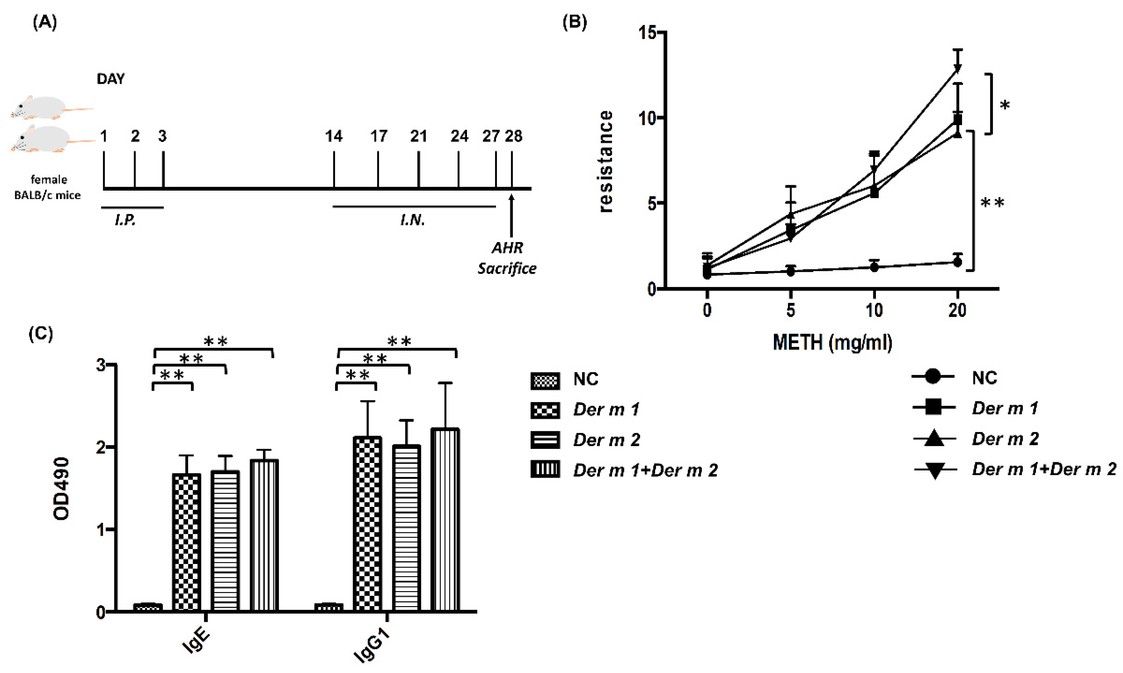Ijms 23 03810 g004 Ijms 23 03810 g004