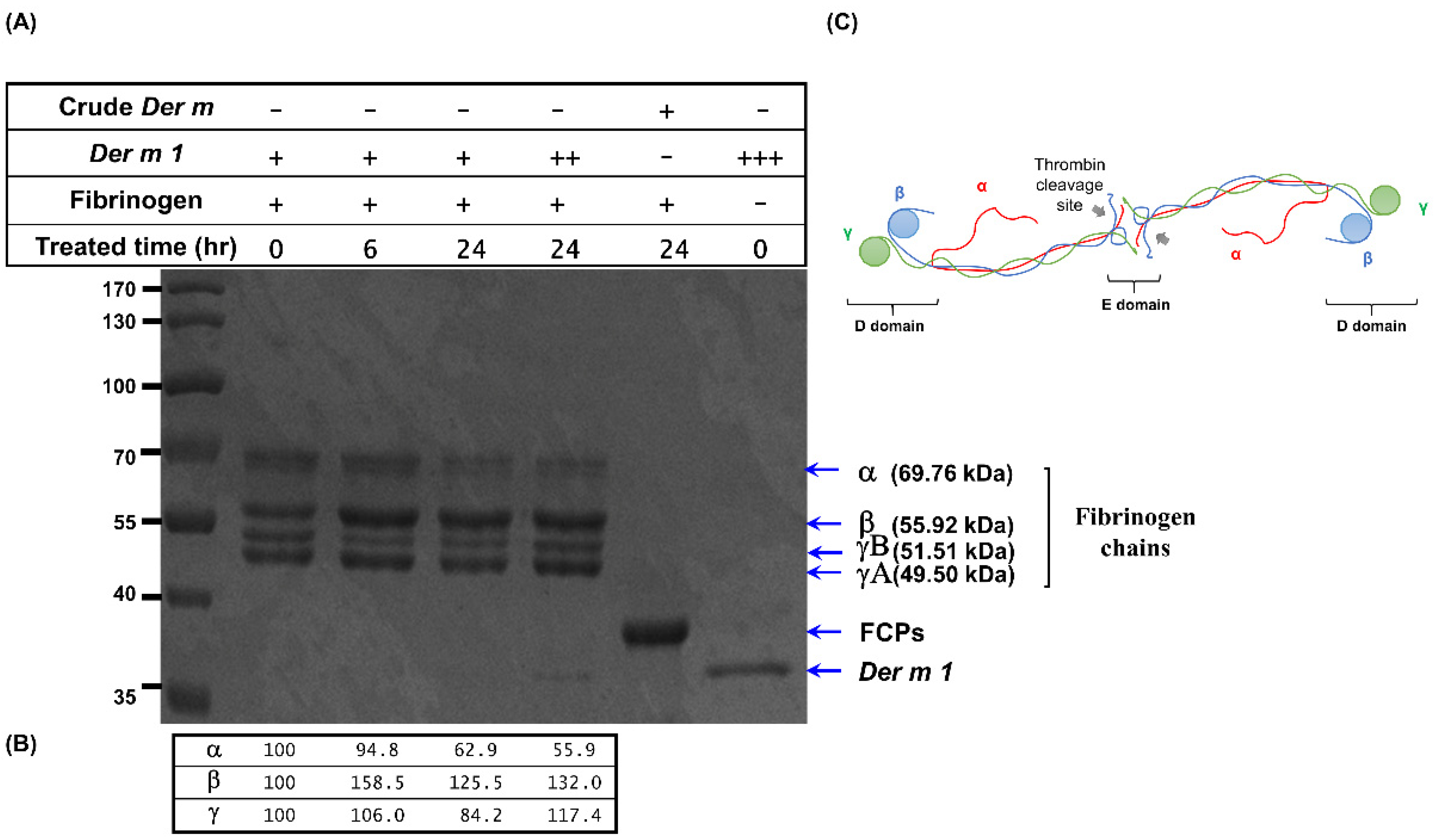 Ijms 23 03810 g008 Ijms 23 03810 g008