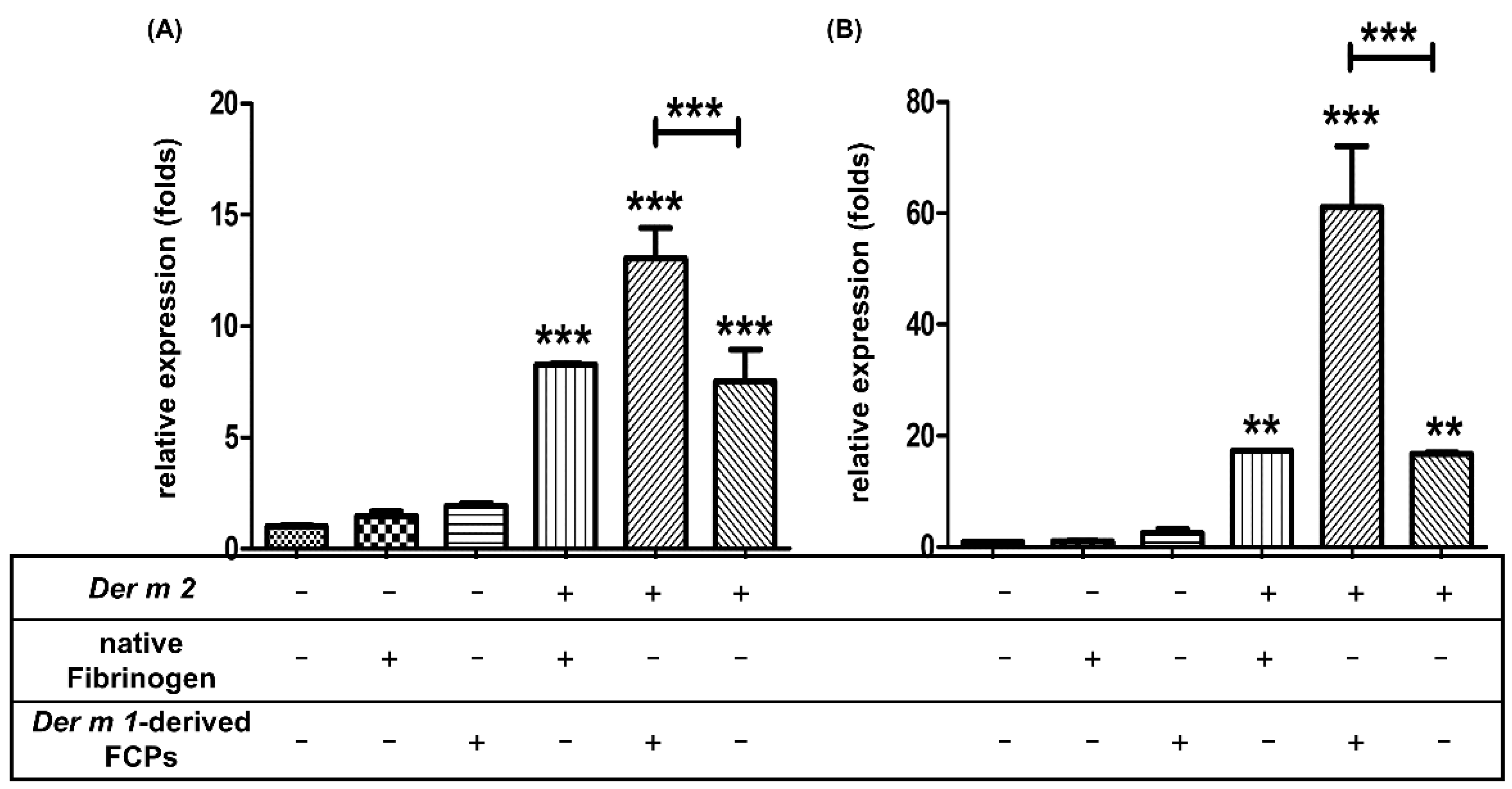 Ijms 23 03810 g009 Ijms 23 03810 g009