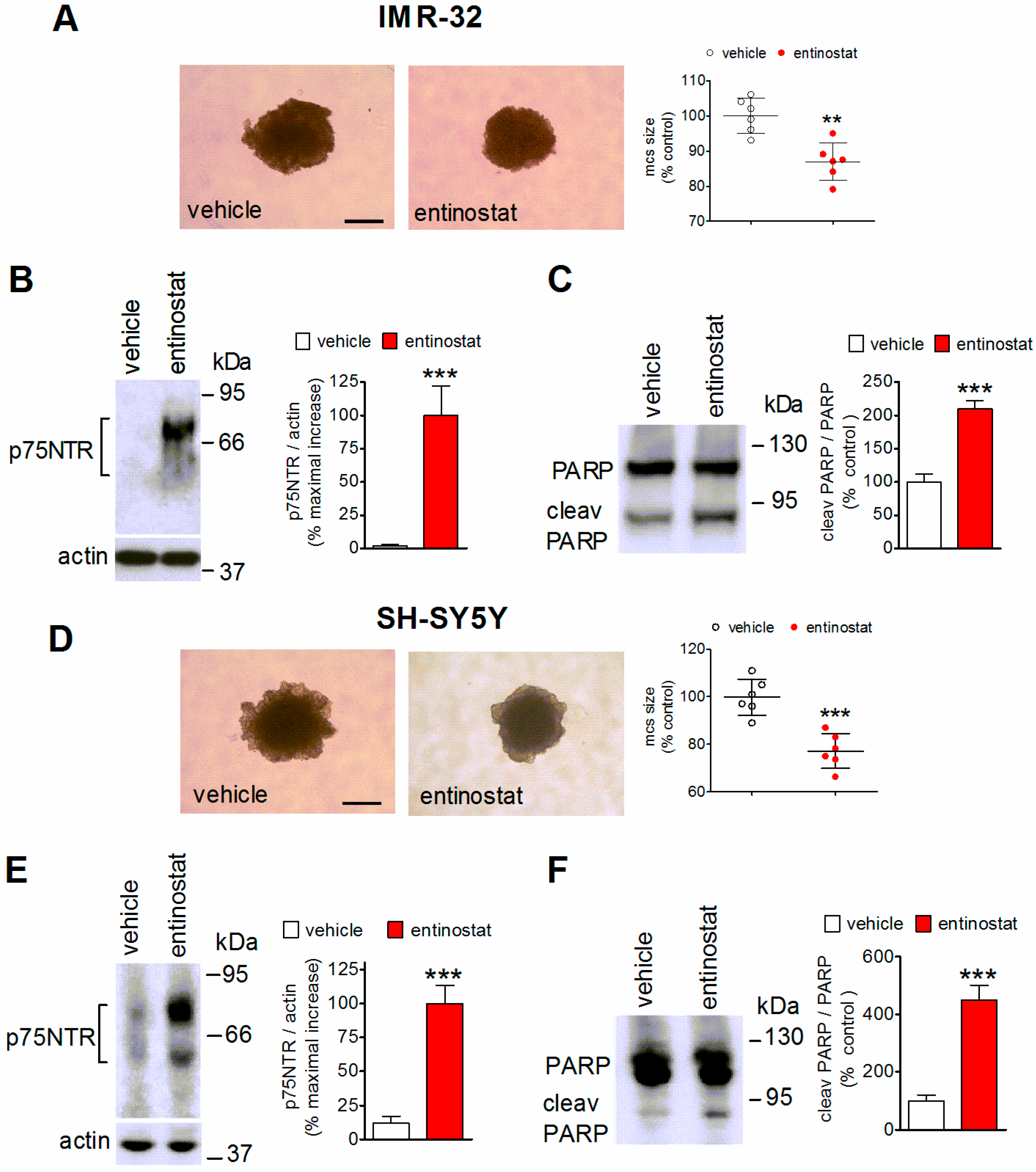 Ijms 23 03849 g005 Ijms 23 03849 g005