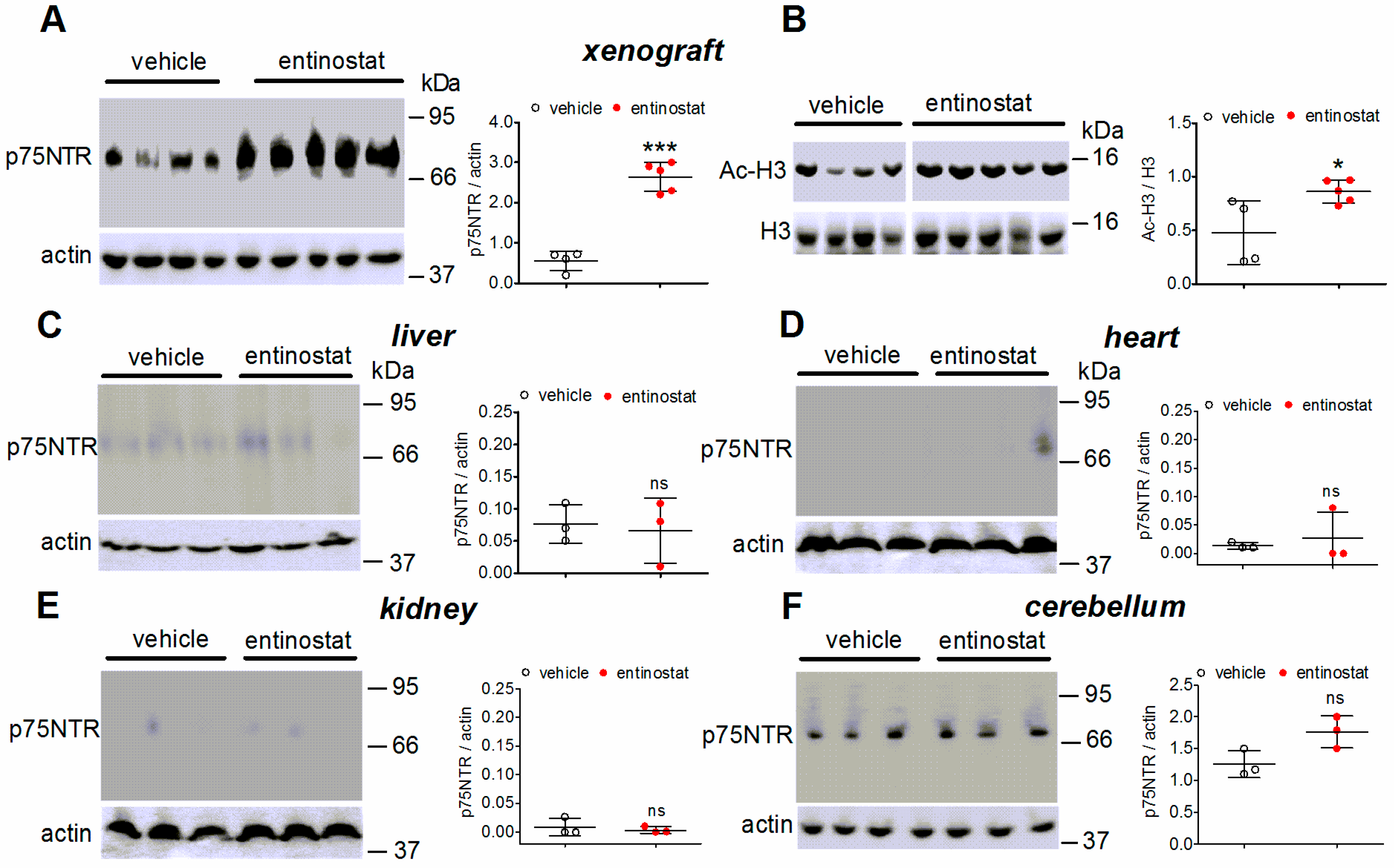 Ijms 23 03849 g007 Ijms 23 03849 g007