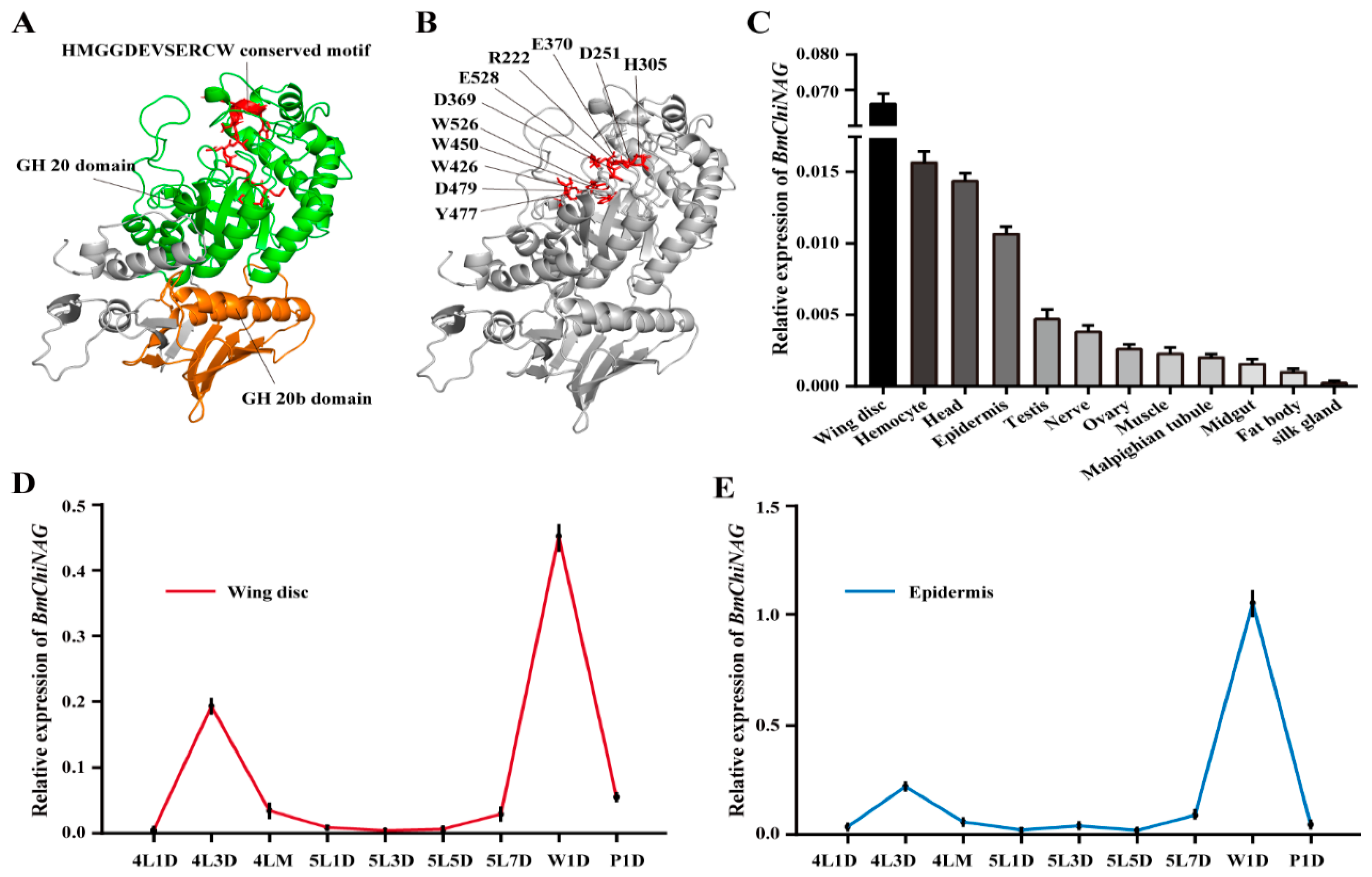 Ijms 23 03850 g002 Ijms 23 03850 g002