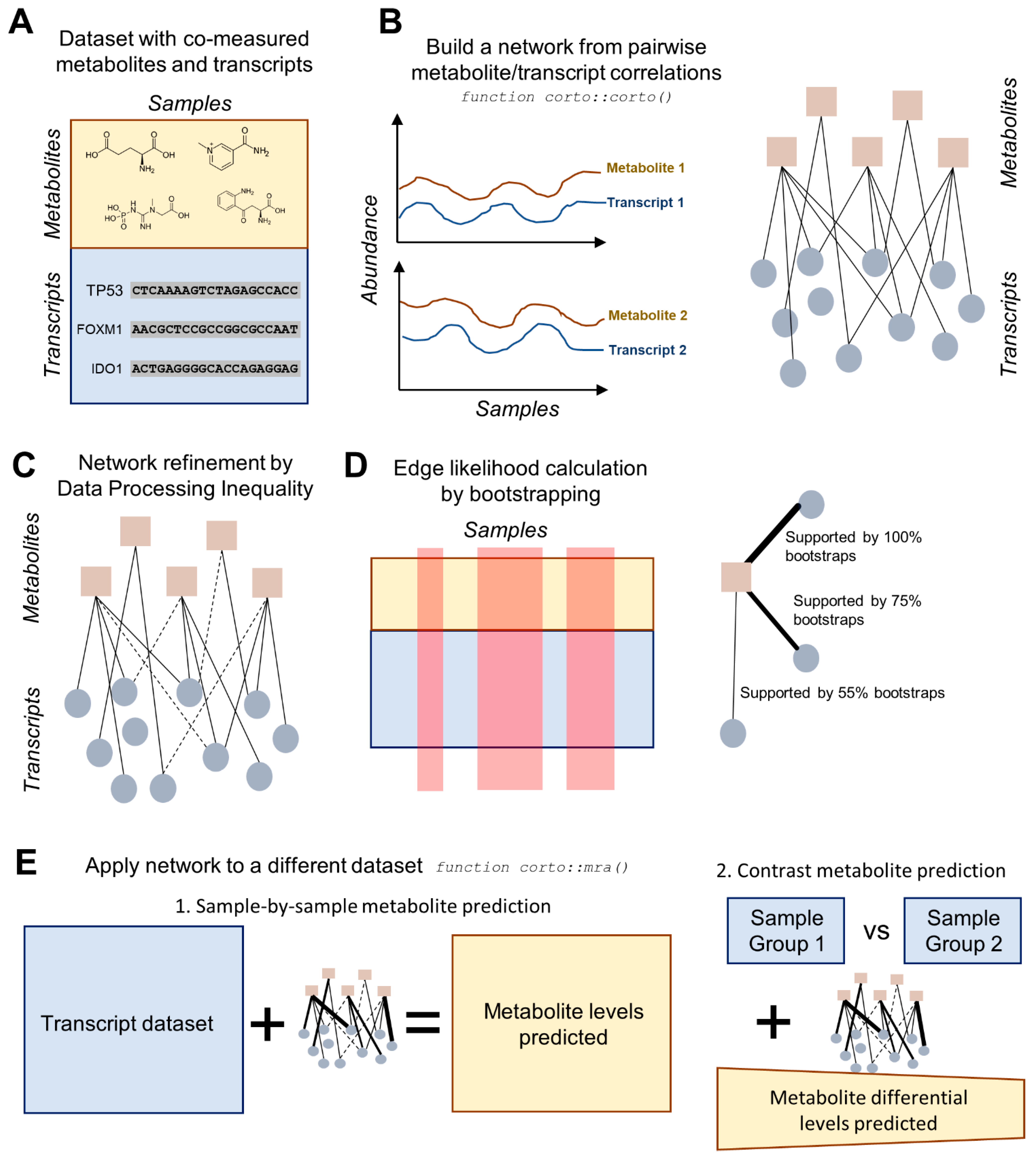 Ijms 23 03867 g001 Ijms 23 03867 g001