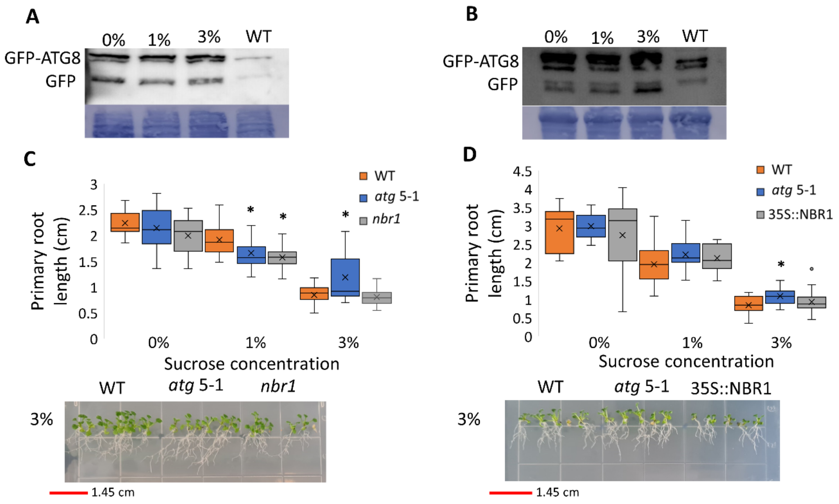 Ijms 23 03891 g003 Ijms 23 03891 g003