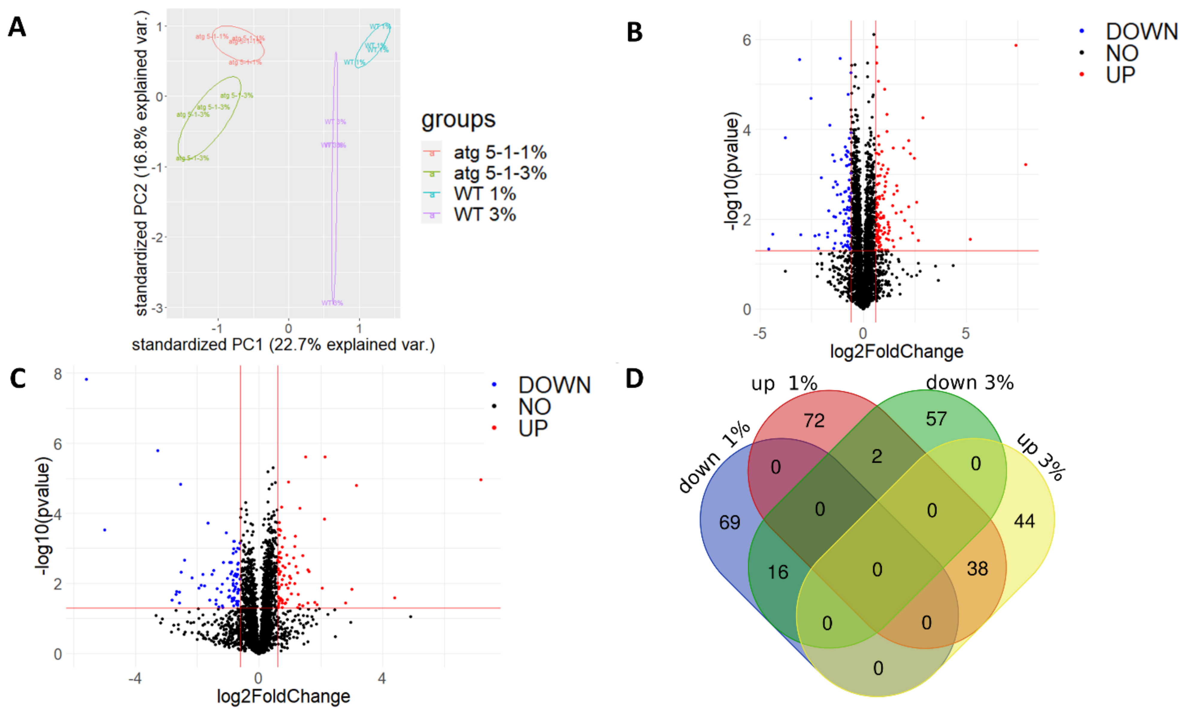 Ijms 23 03891 g006 Ijms 23 03891 g006