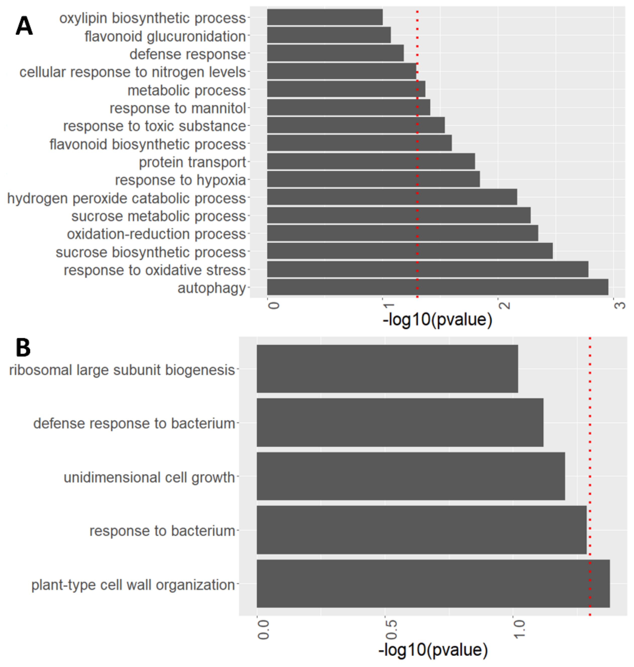 Ijms 23 03891 g007 Ijms 23 03891 g007