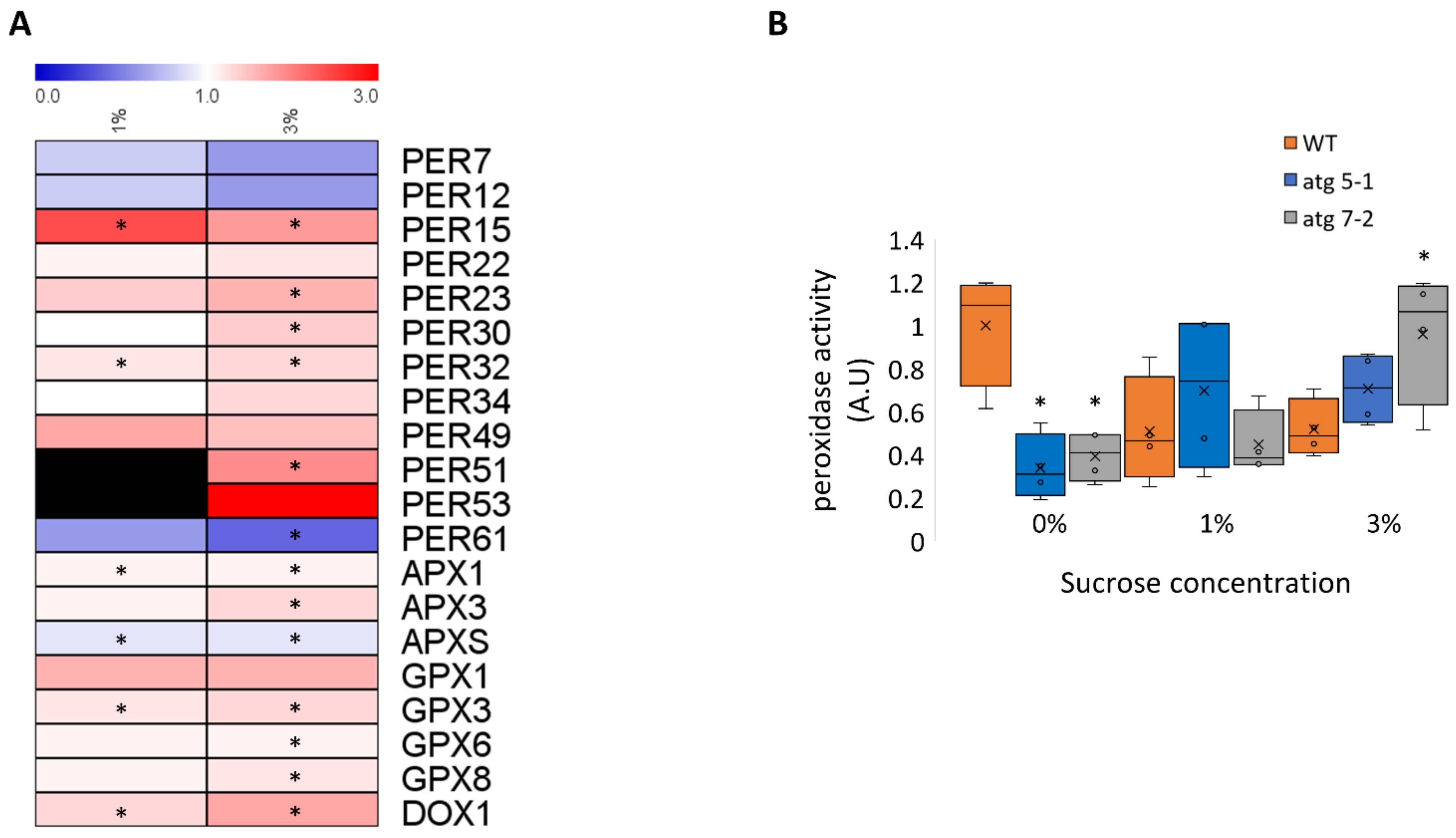 Ijms 23 03891 g008 Ijms 23 03891 g008