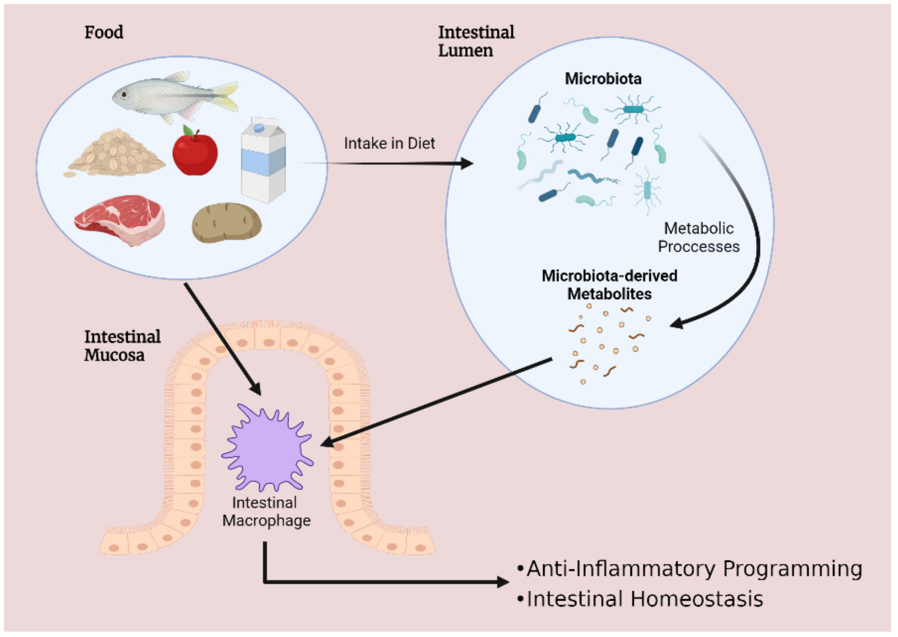 Ijms 23 03901 g001 Ijms 23 03901 g001
