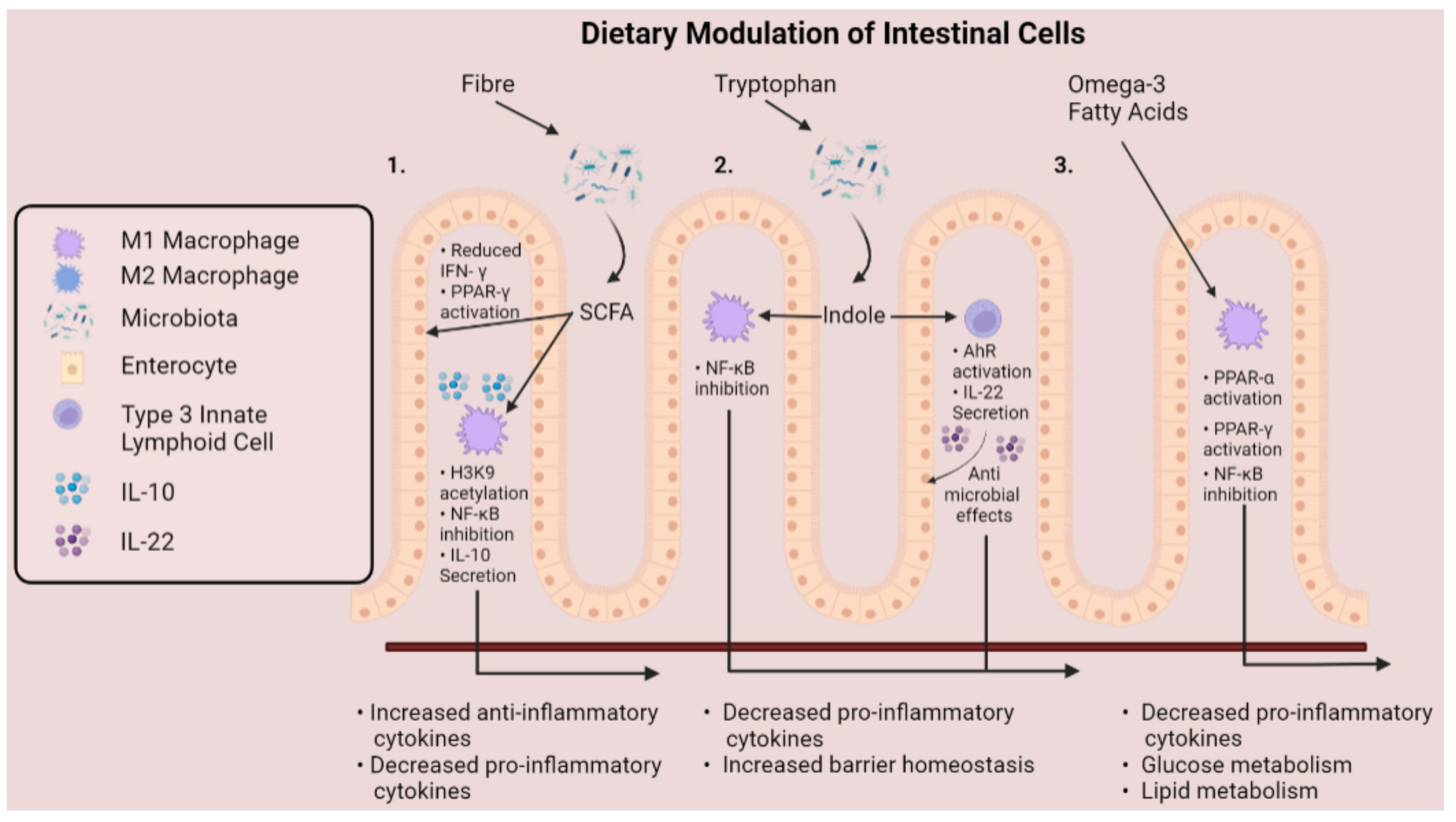 Ijms 23 03901 g004 Ijms 23 03901 g004