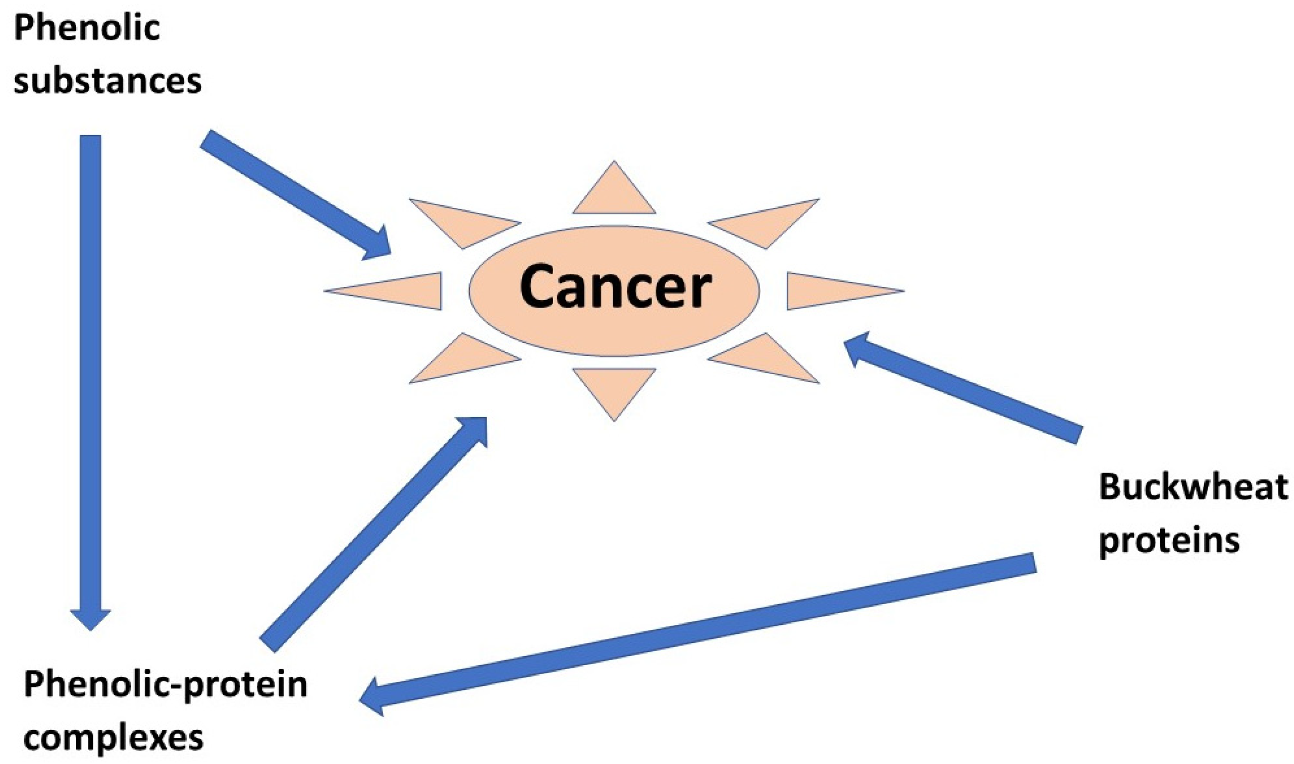 Ijms 23 03923 g006 Ijms 23 03923 g006