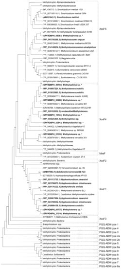 Ijms 23 03947 g004 550