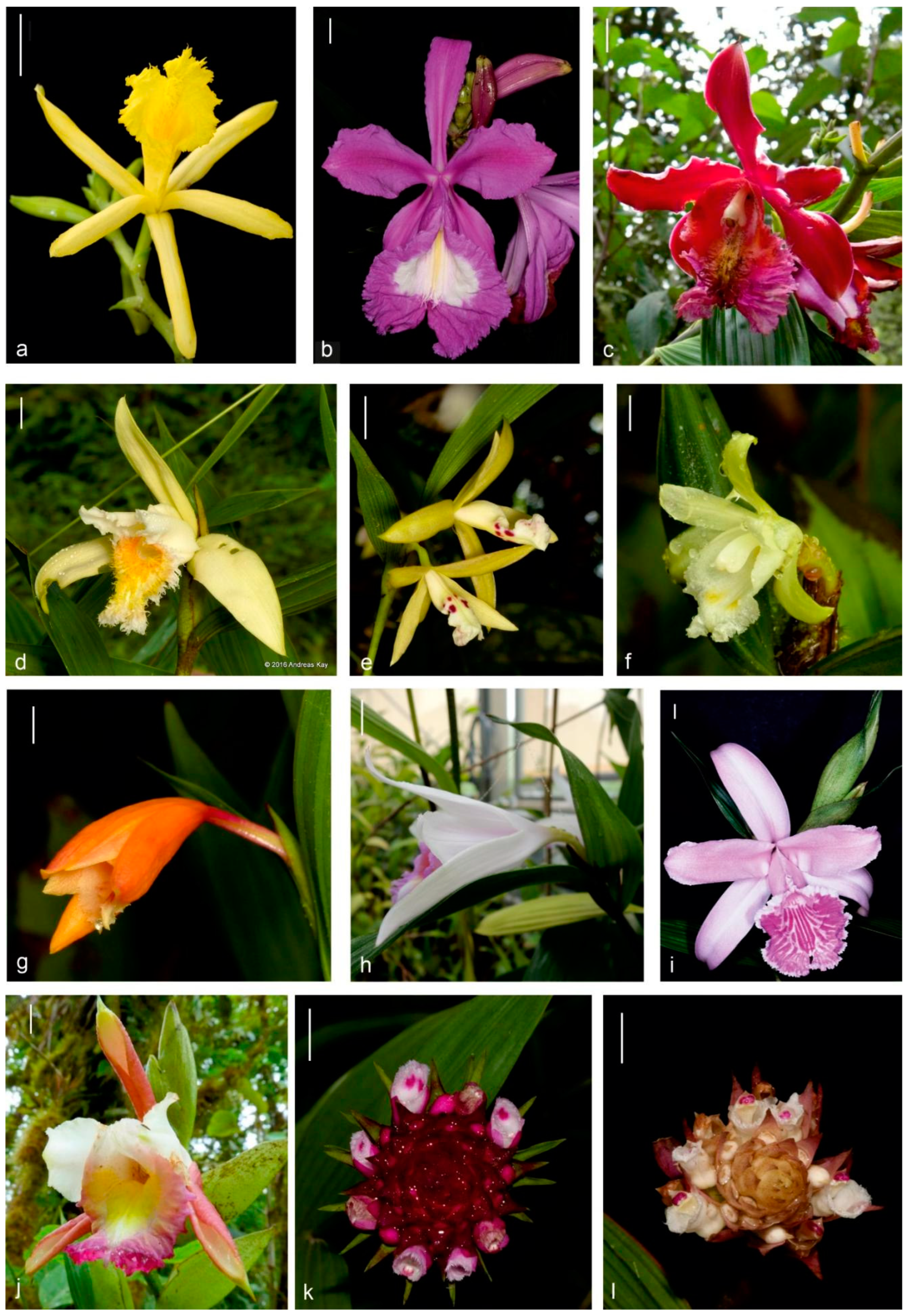 Ijms 23 03948 g001 Ijms 23 03948 g001