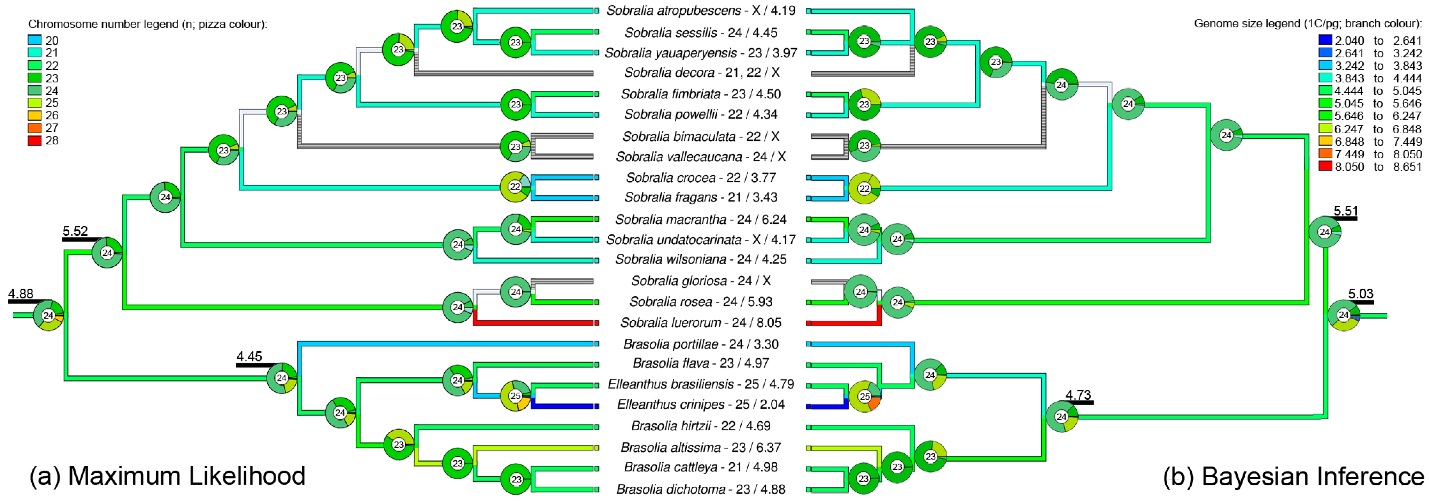 Ijms 23 03948 g002 Ijms 23 03948 g002