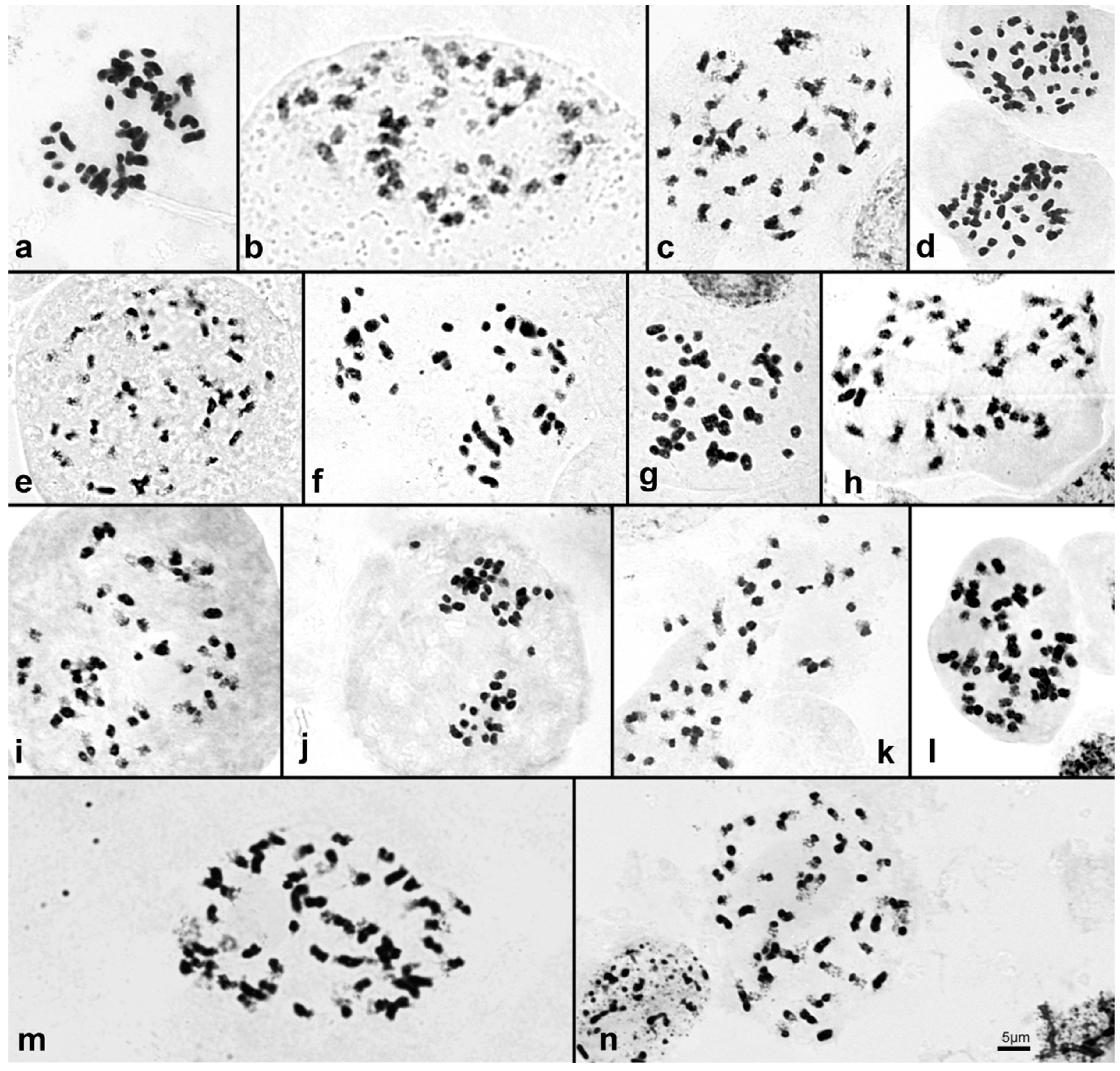 Ijms 23 03948 g004 Ijms 23 03948 g004