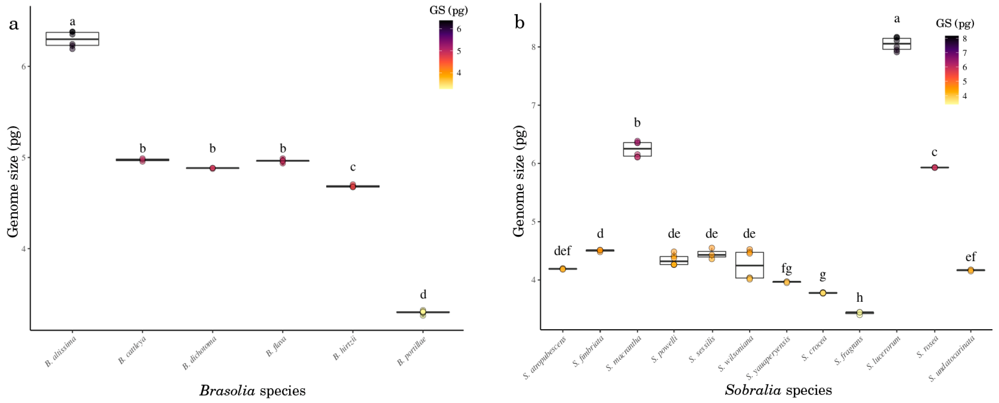 Ijms 23 03948 g005 Ijms 23 03948 g005