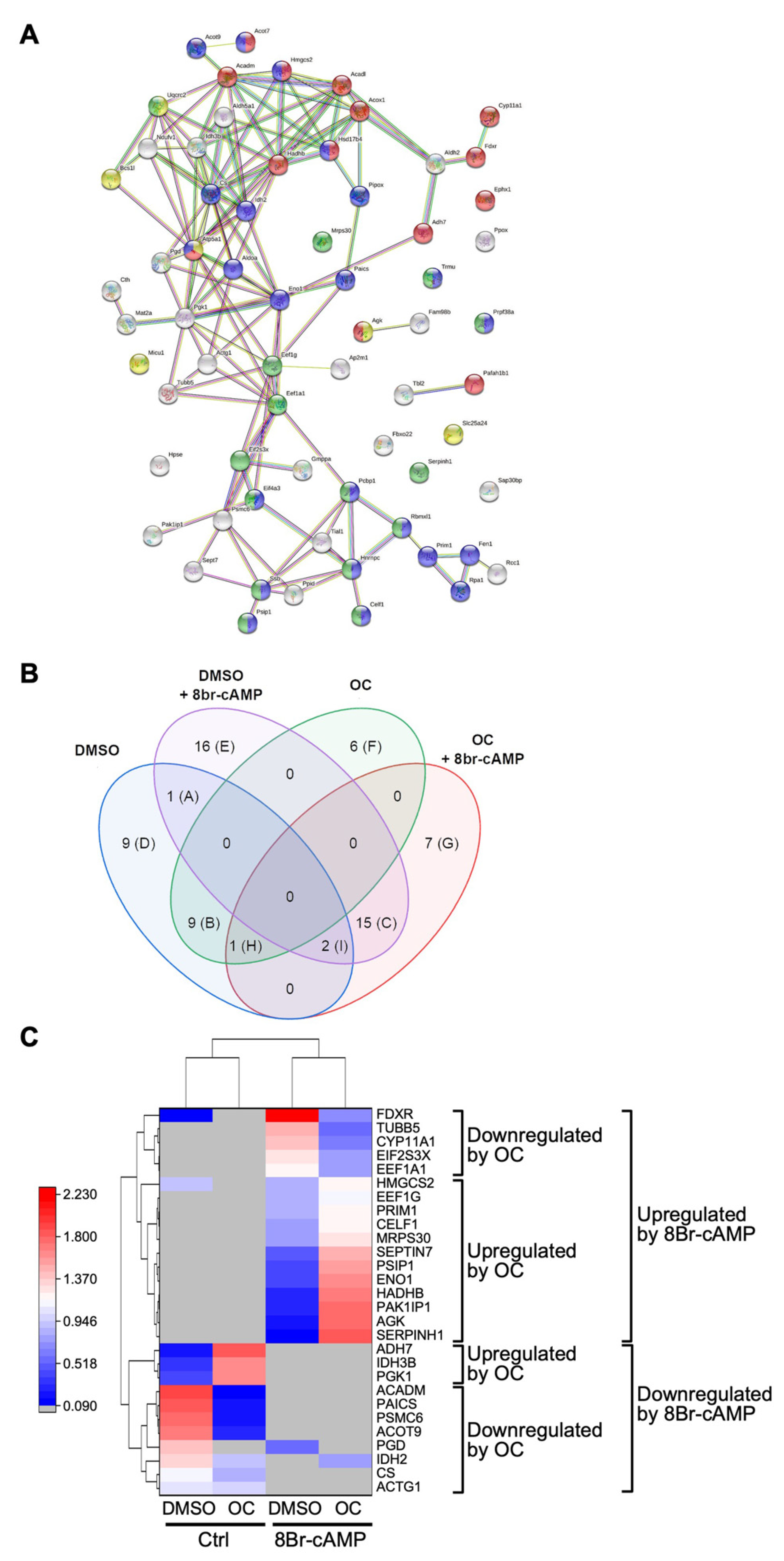 Ijms 23 03997 g005 Ijms 23 03997 g005