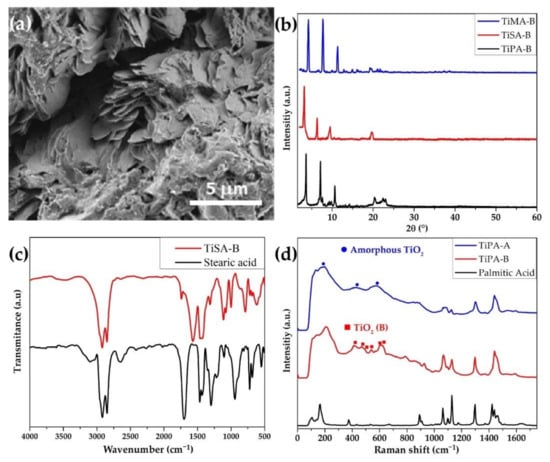 Ijms 23 04006 g003 550