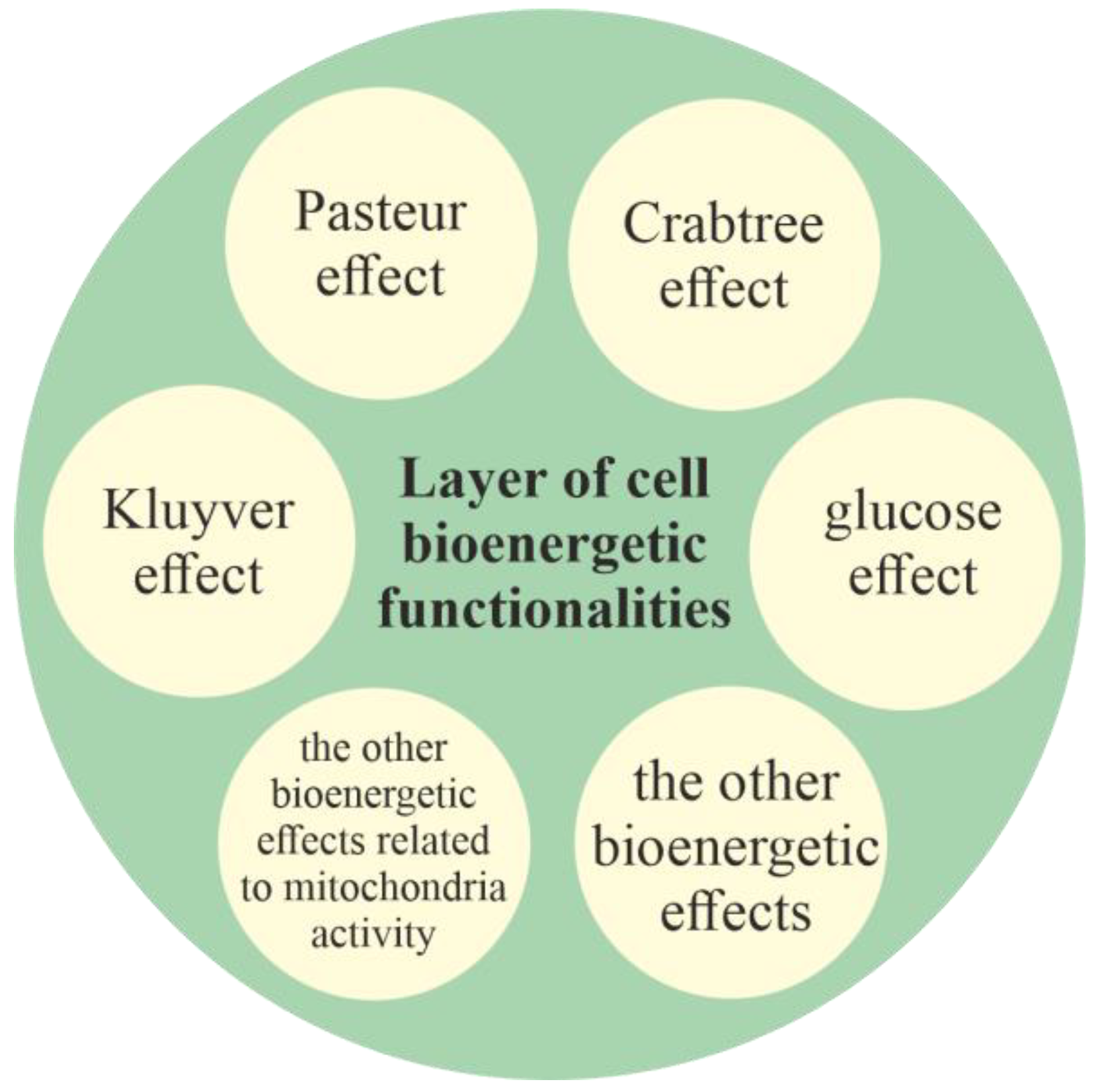 Ijms 23 04017 g001 Ijms 23 04017 g001