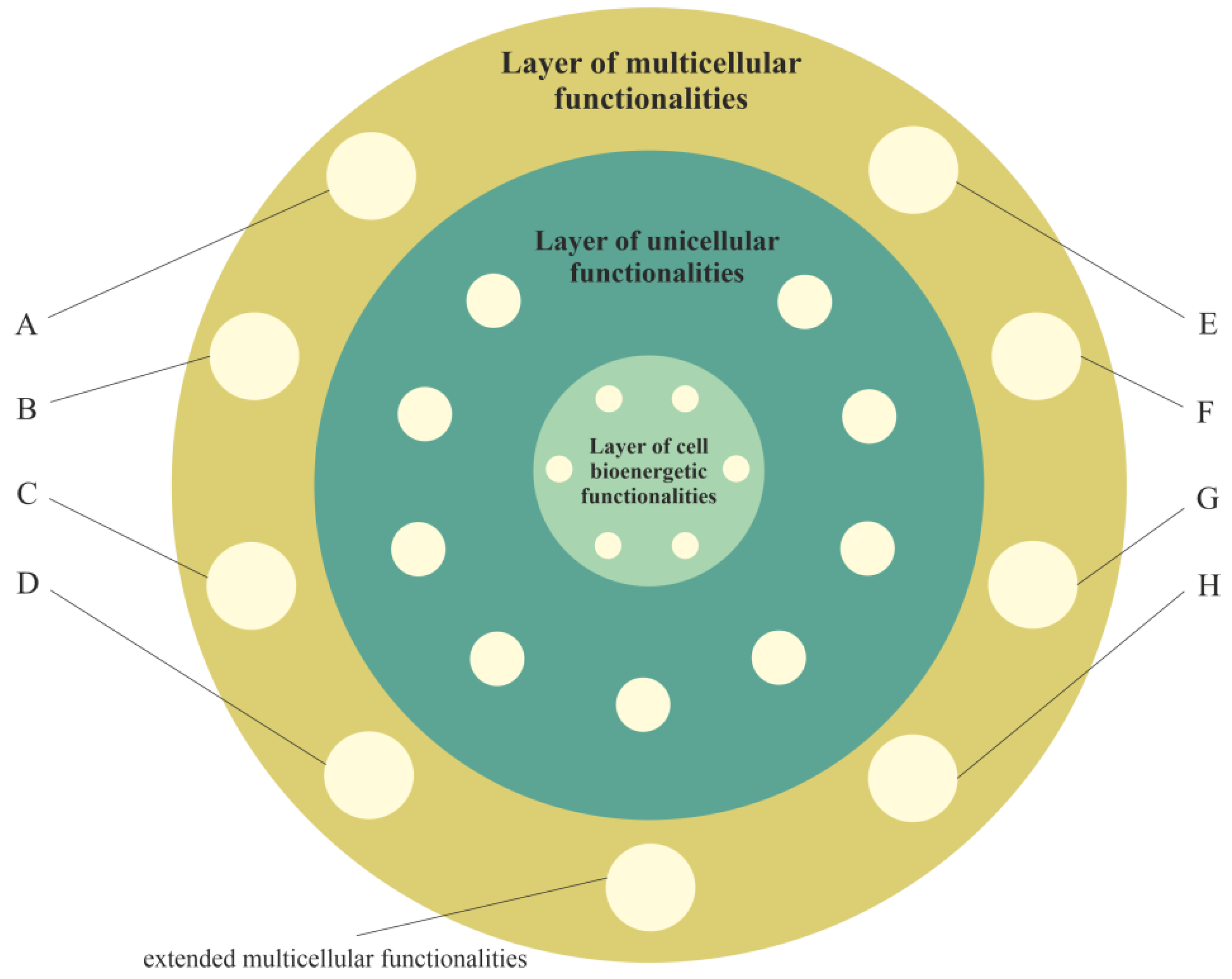 Ijms 23 04017 g003 Ijms 23 04017 g003