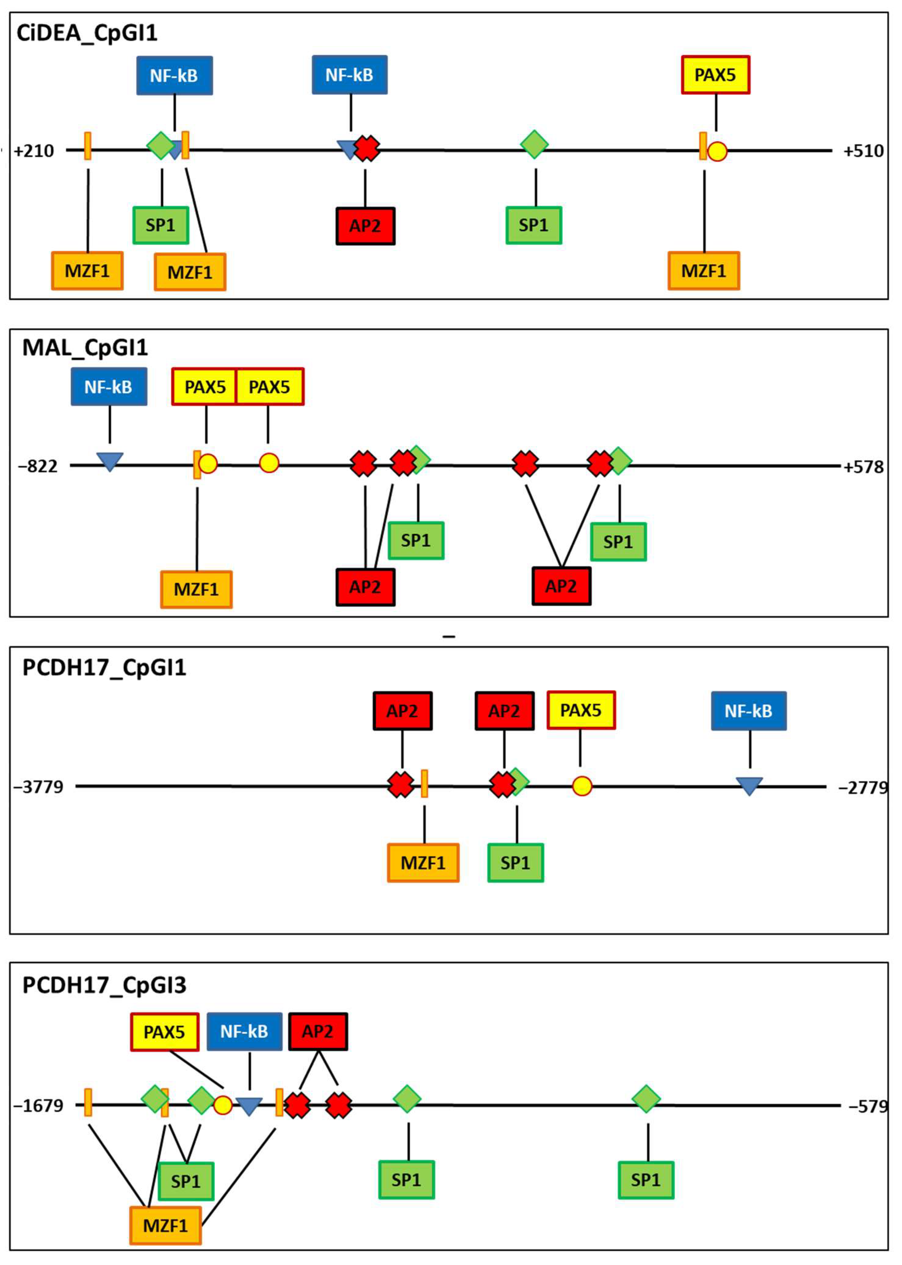 Ijms 23 04021 g010 Ijms 23 04021 g010