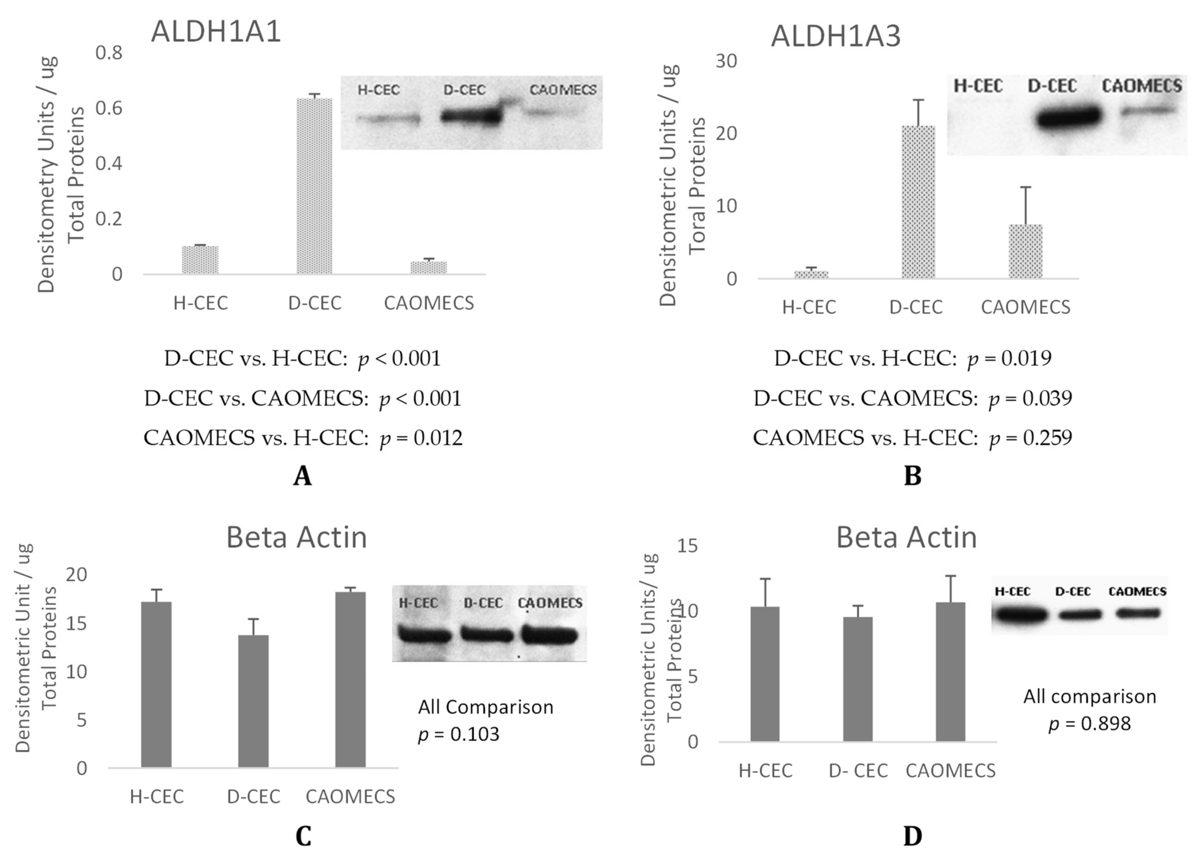 Ijms 23 04032 g003 Ijms 23 04032 g003