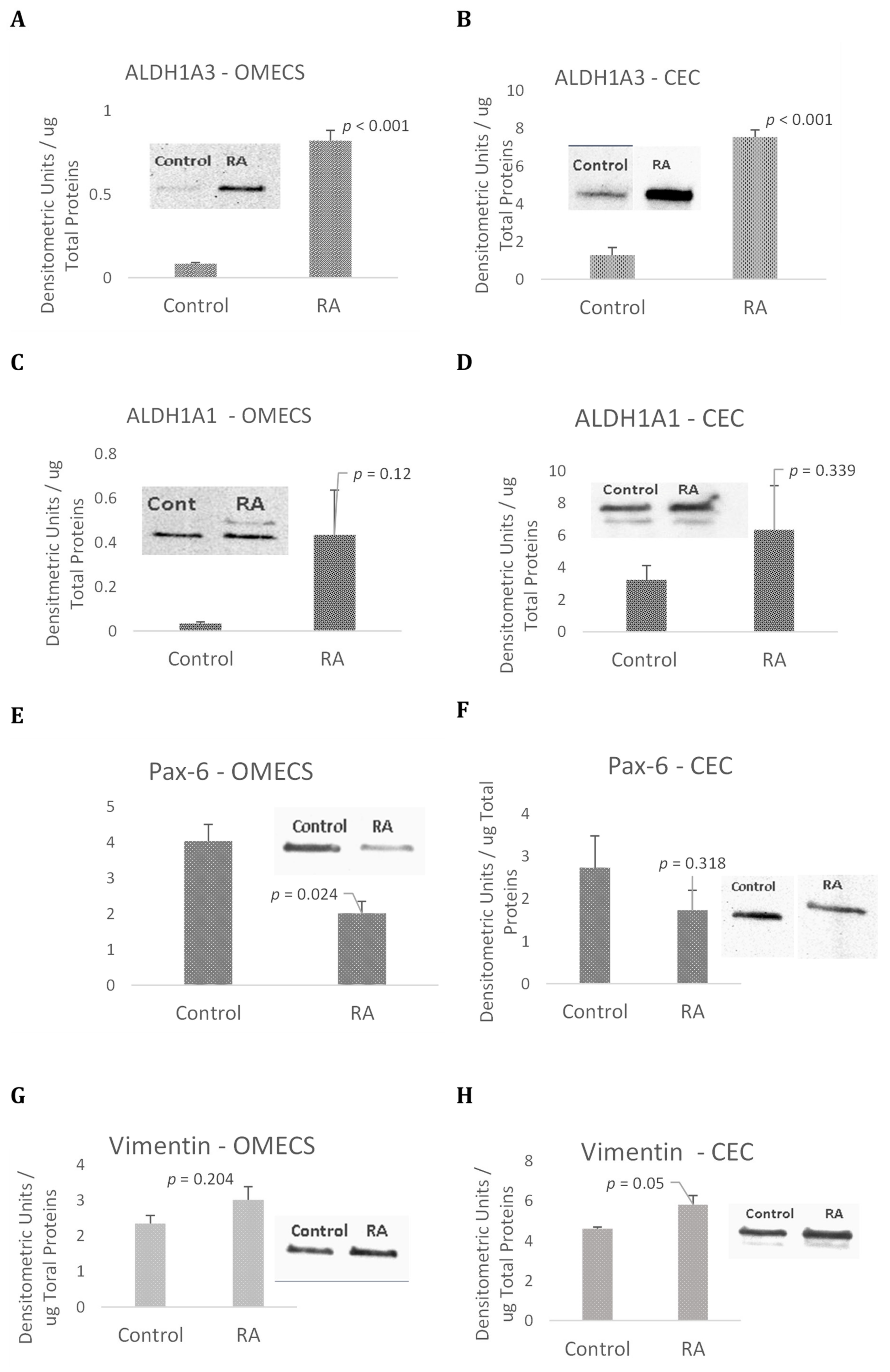Ijms 23 04032 g005a Ijms 23 04032 g005a