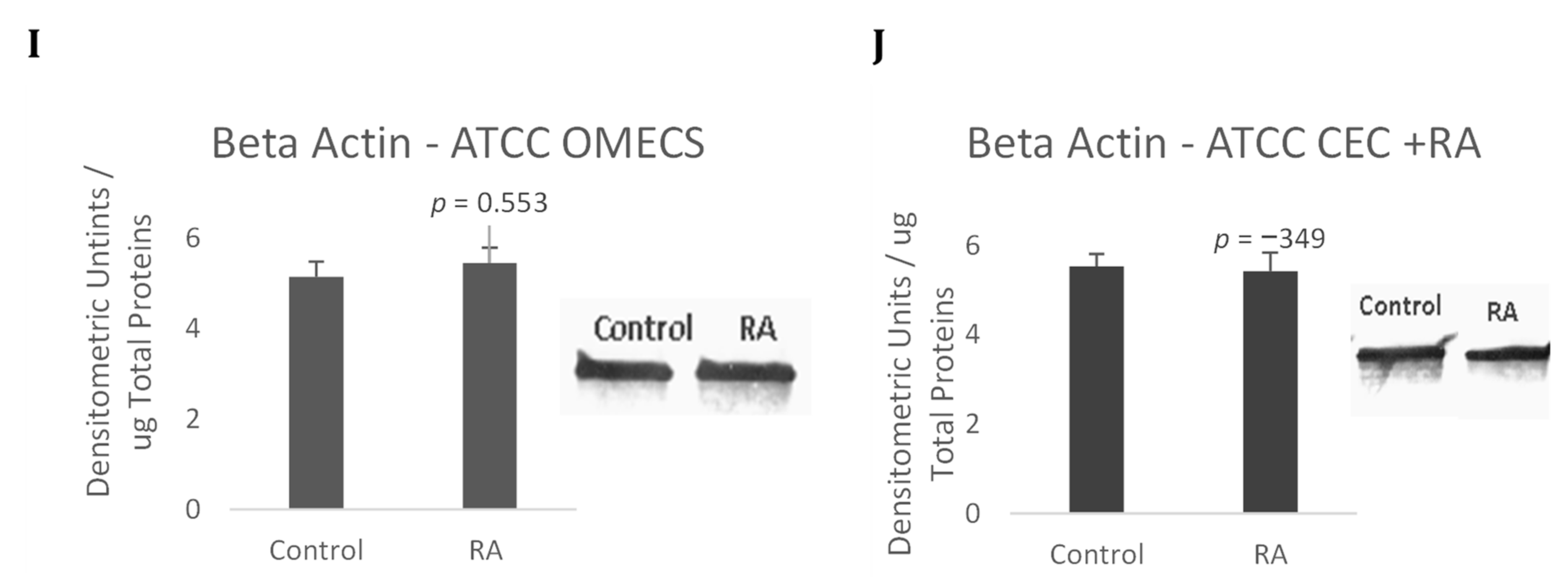 Ijms 23 04032 g005b Ijms 23 04032 g005b