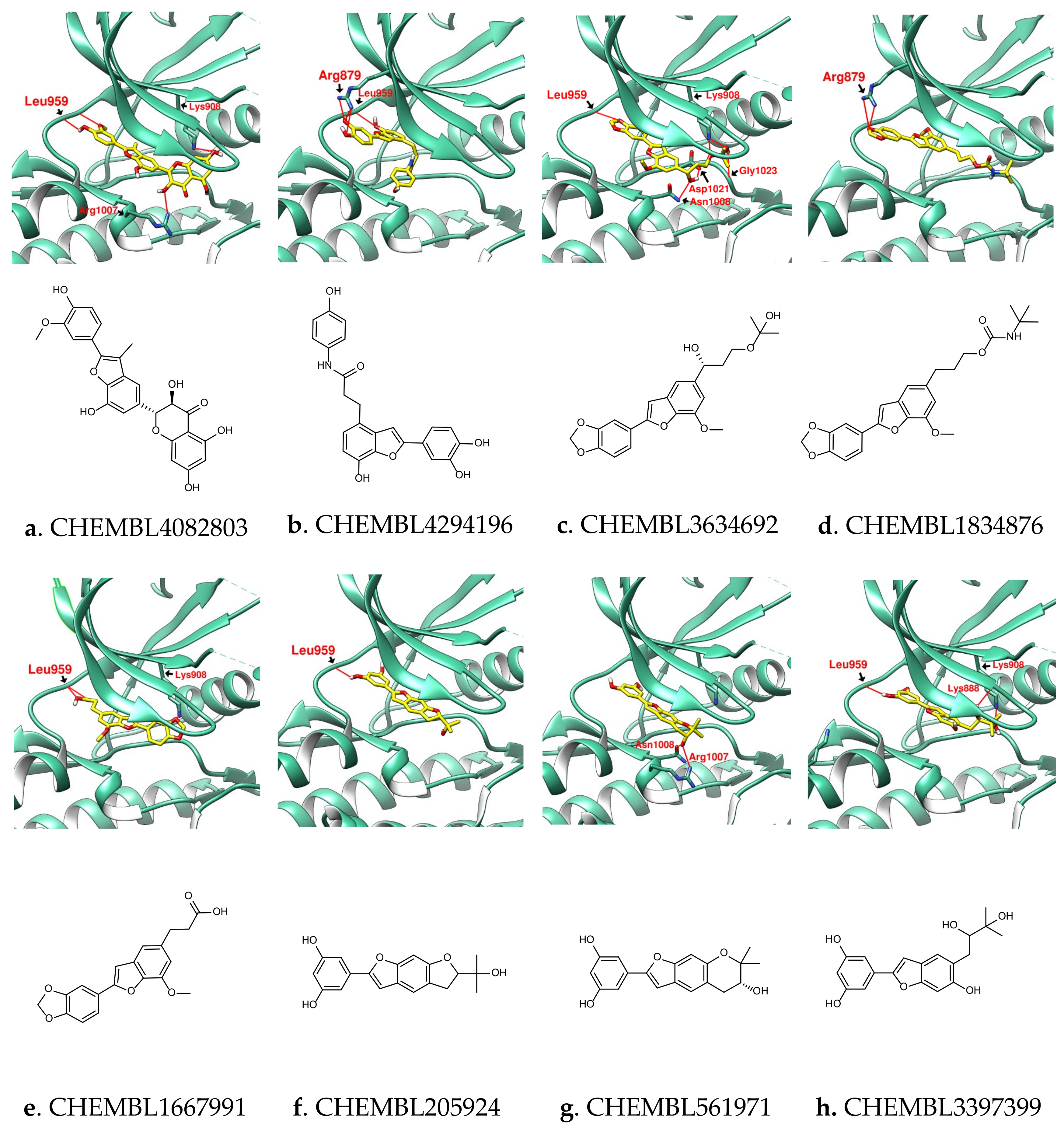 Ijms 23 04033 g007 Ijms 23 04033 g007