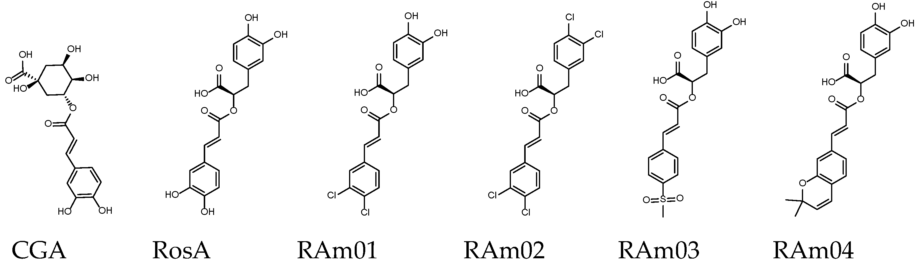 Ijms 23 04033 g008 Ijms 23 04033 g008