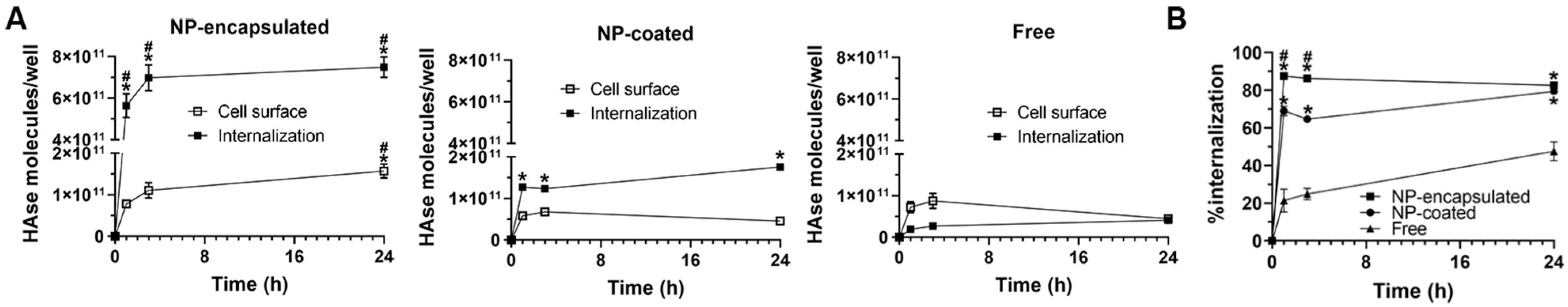 Ijms 23 04034 g005 Ijms 23 04034 g005