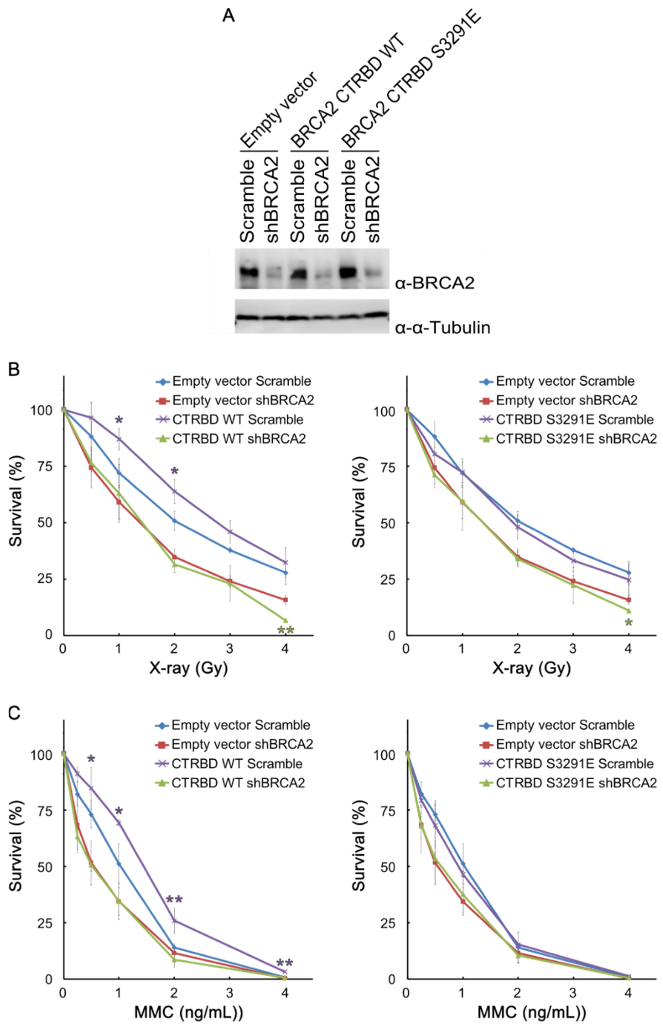 Ijms 23 04060 g003 Ijms 23 04060 g003