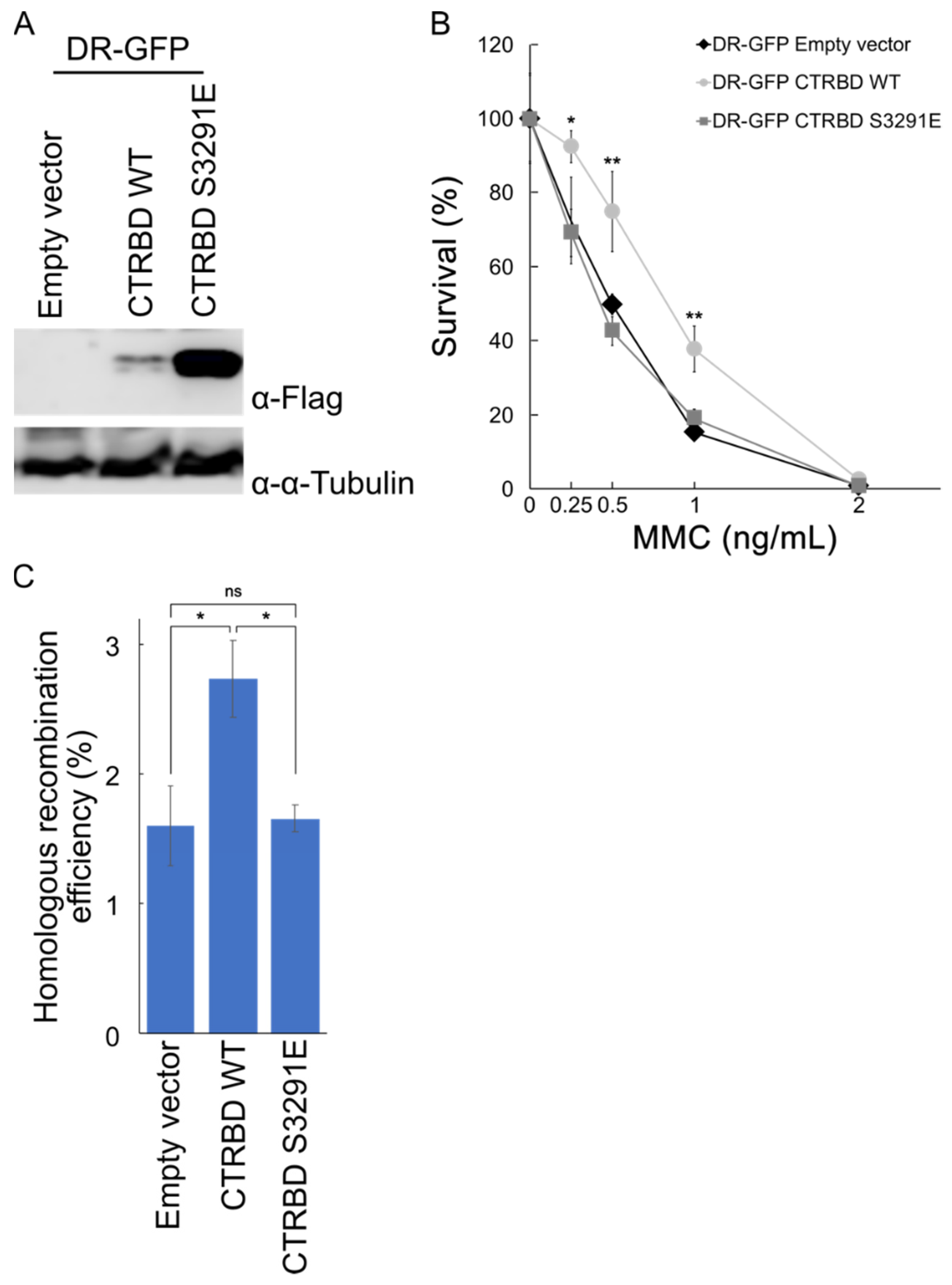 Ijms 23 04060 g004 Ijms 23 04060 g004