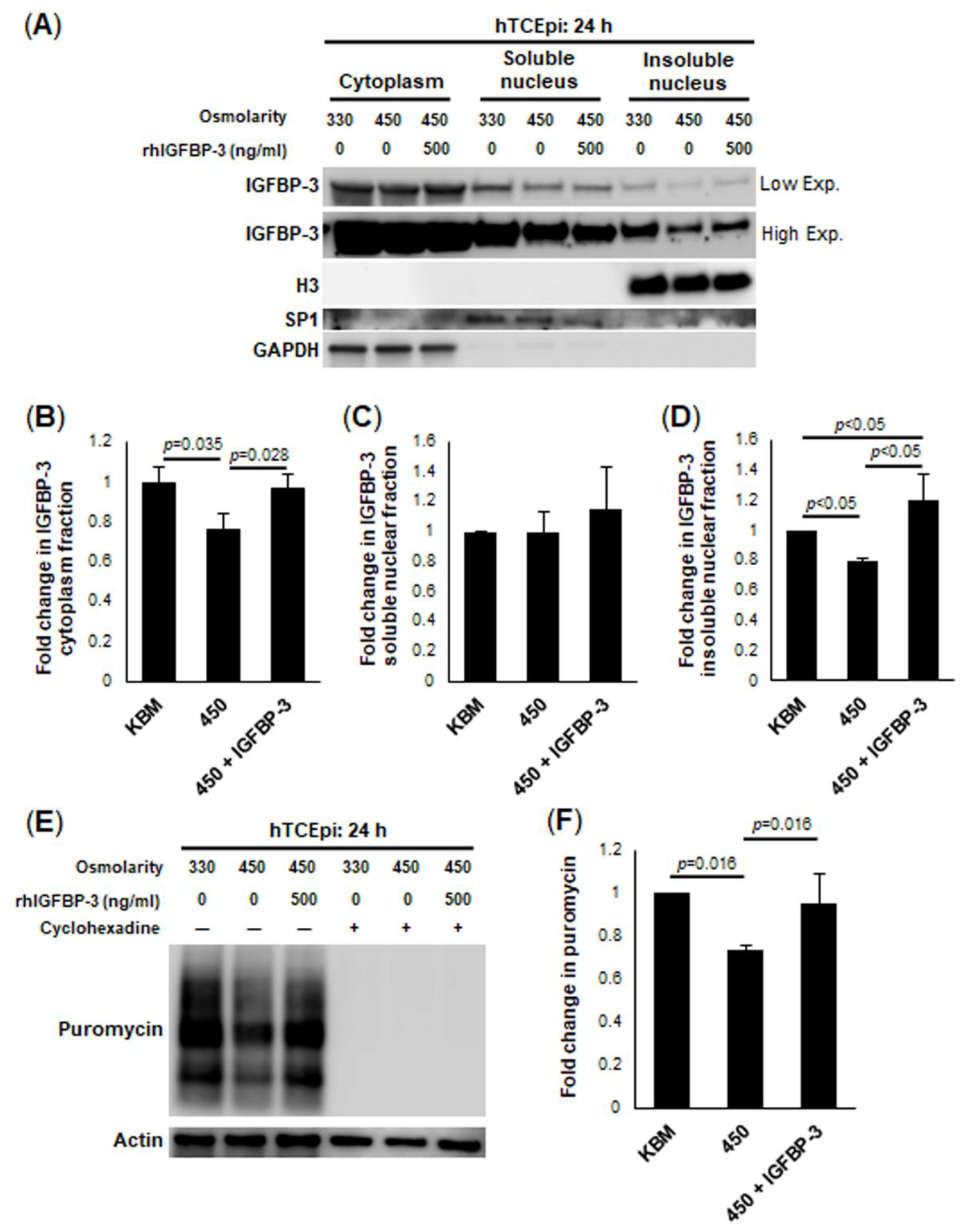 Ijms 23 04066 g004 Ijms 23 04066 g004