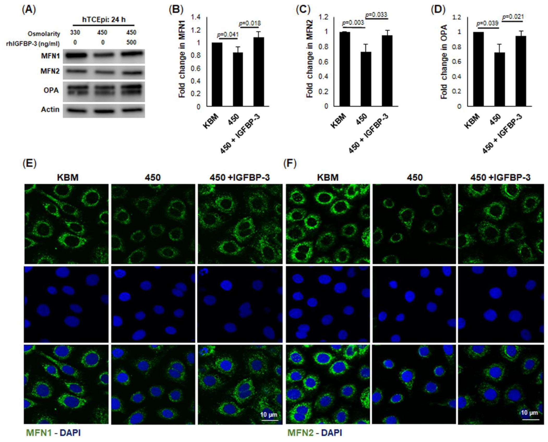 Ijms 23 04066 g006 Ijms 23 04066 g006