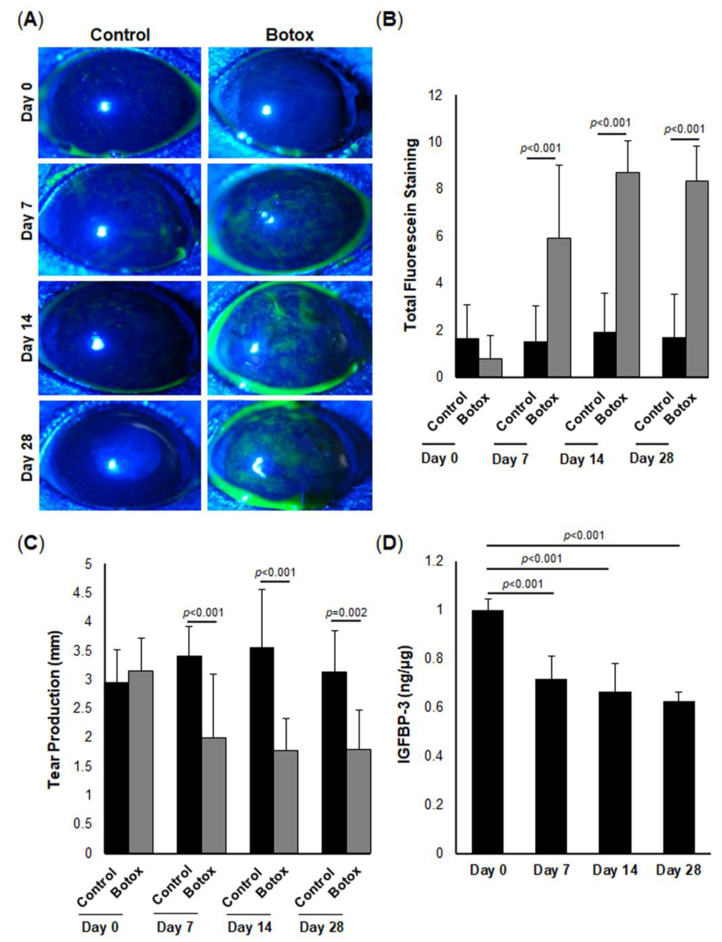 Ijms 23 04066 g007 Ijms 23 04066 g007