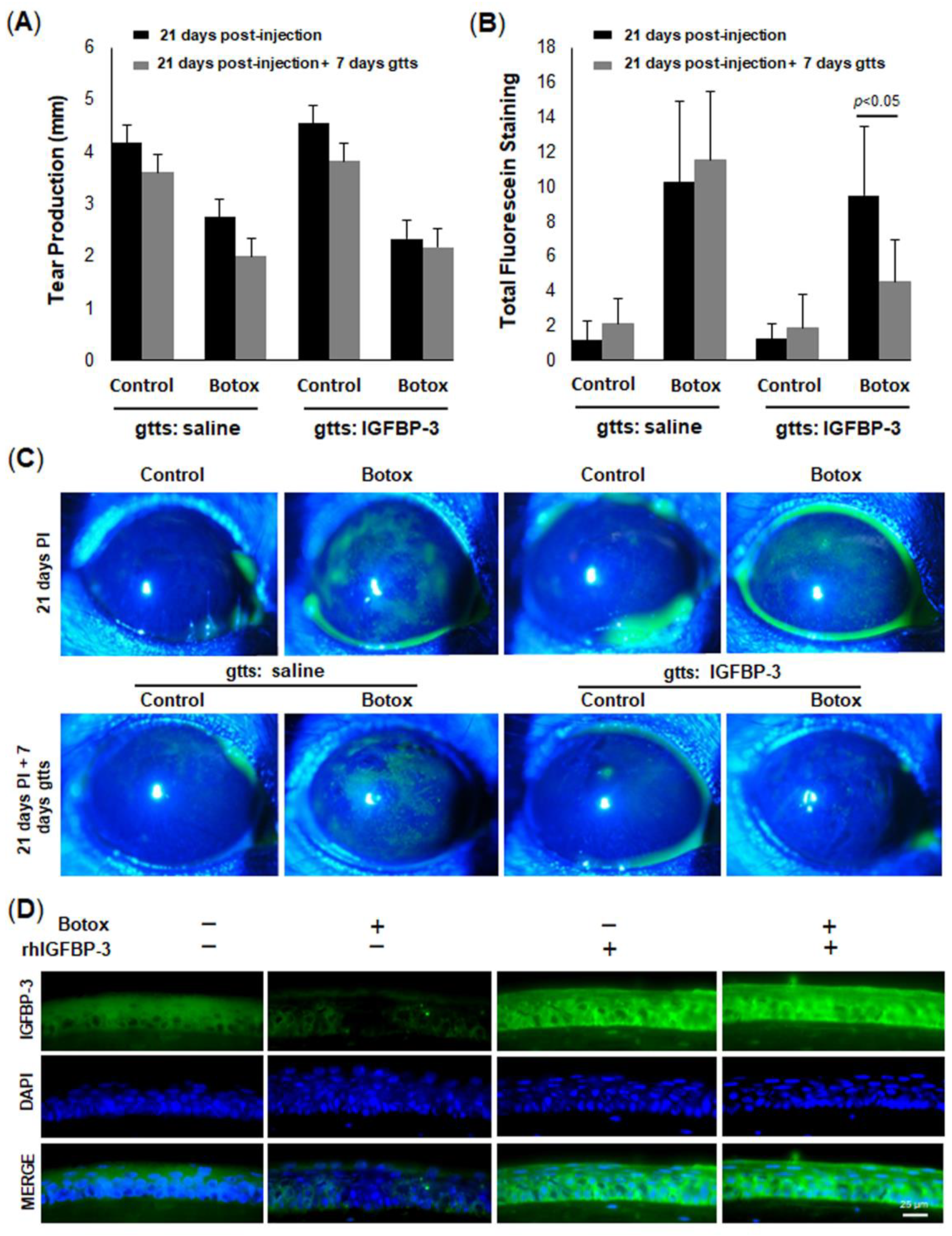 Ijms 23 04066 g008 Ijms 23 04066 g008