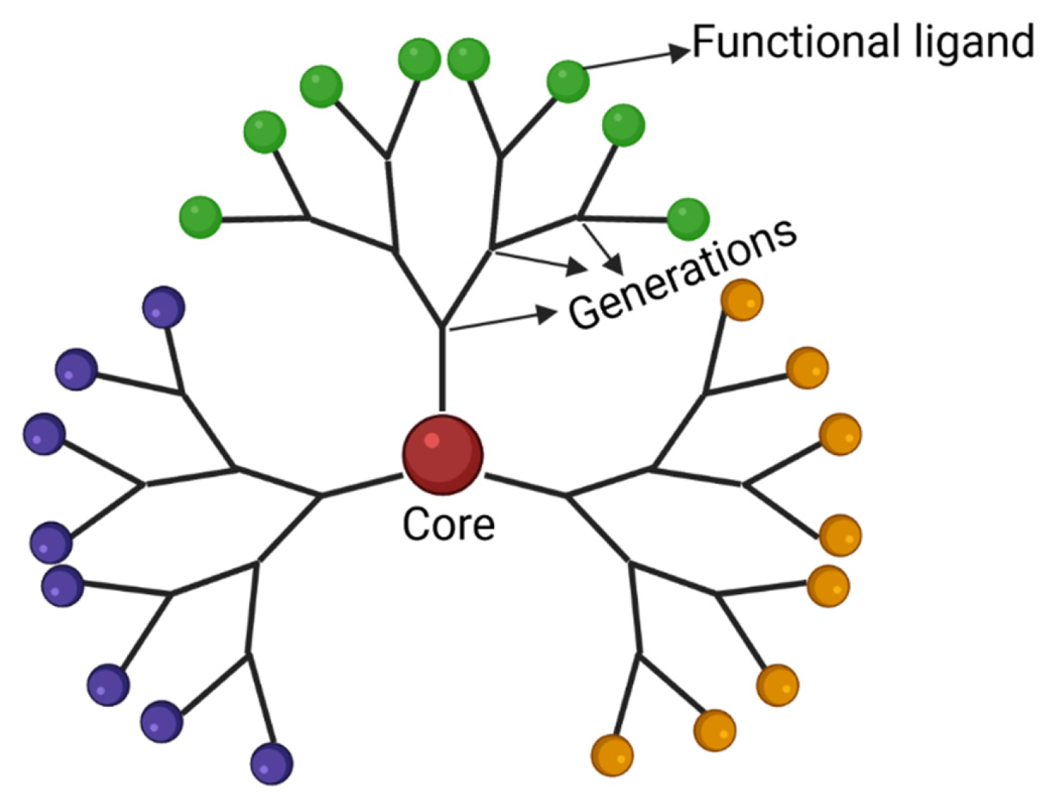 Ijms 23 04153 g002 Ijms 23 04153 g002