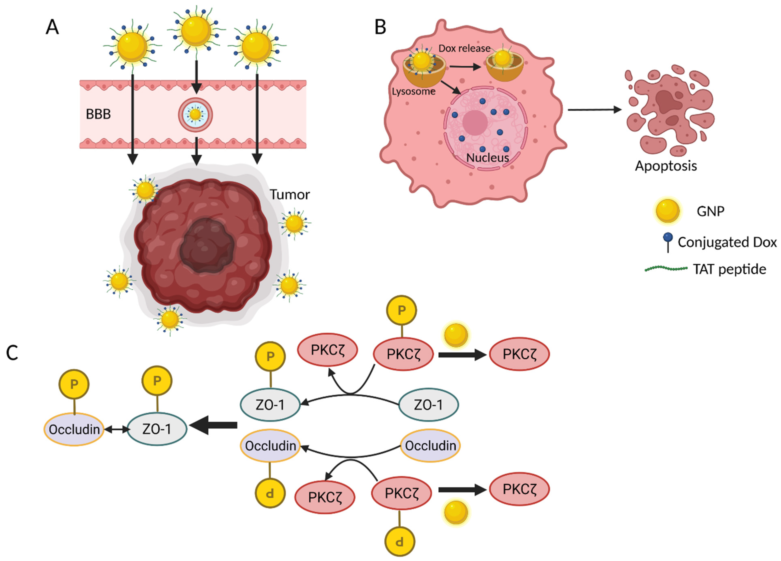 Ijms 23 04153 g003 Ijms 23 04153 g003