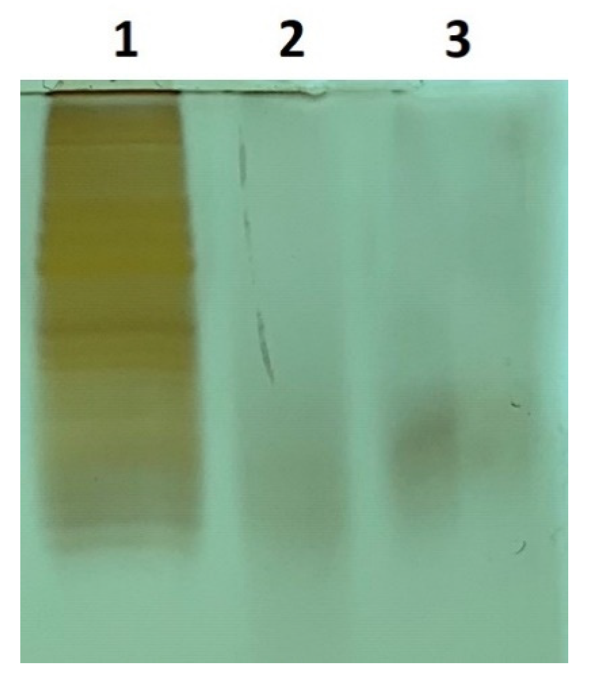 Ijms 23 04177 g002 Ijms 23 04177 g002